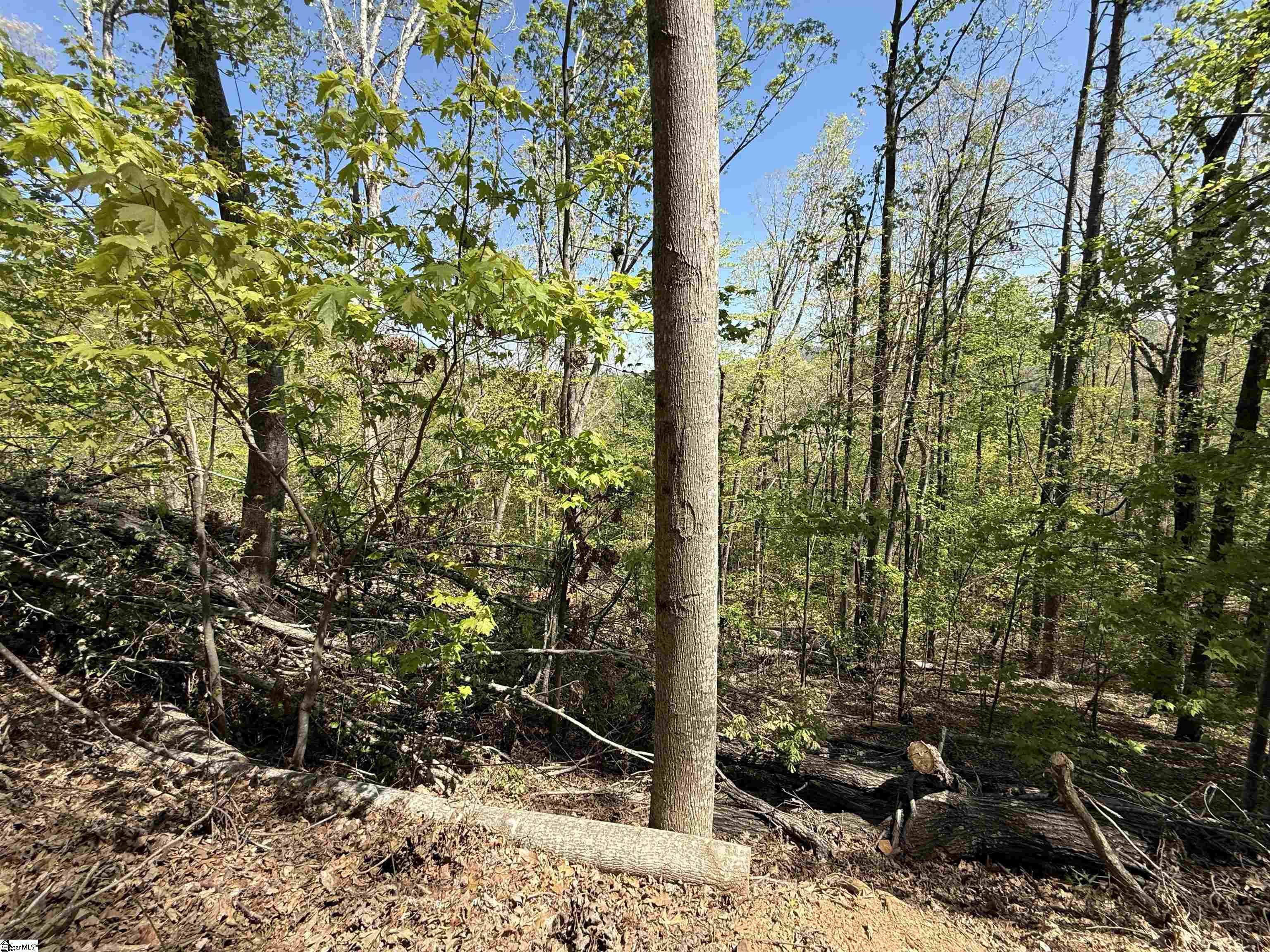 113 Stone Creek, Pickens, South Carolina image 3