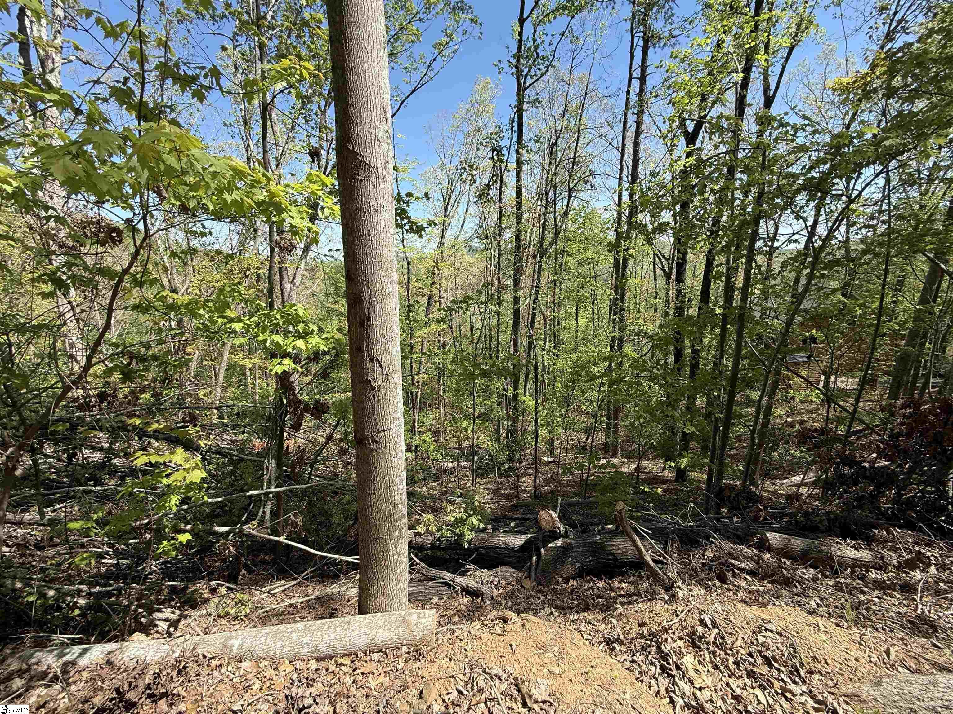 113 Stone Creek, Pickens, South Carolina image 4