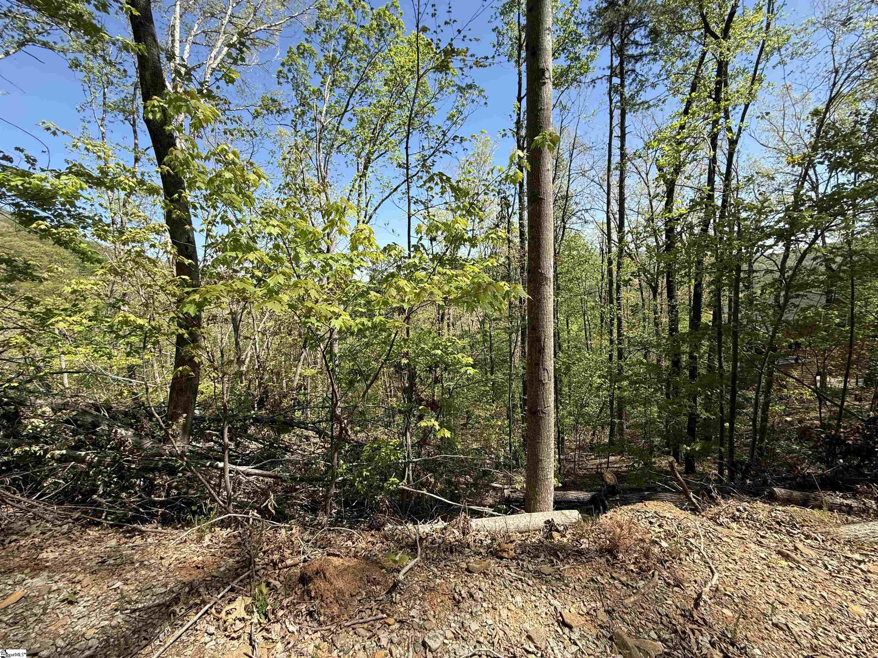113 Stone Creek, Pickens, South Carolina image 5