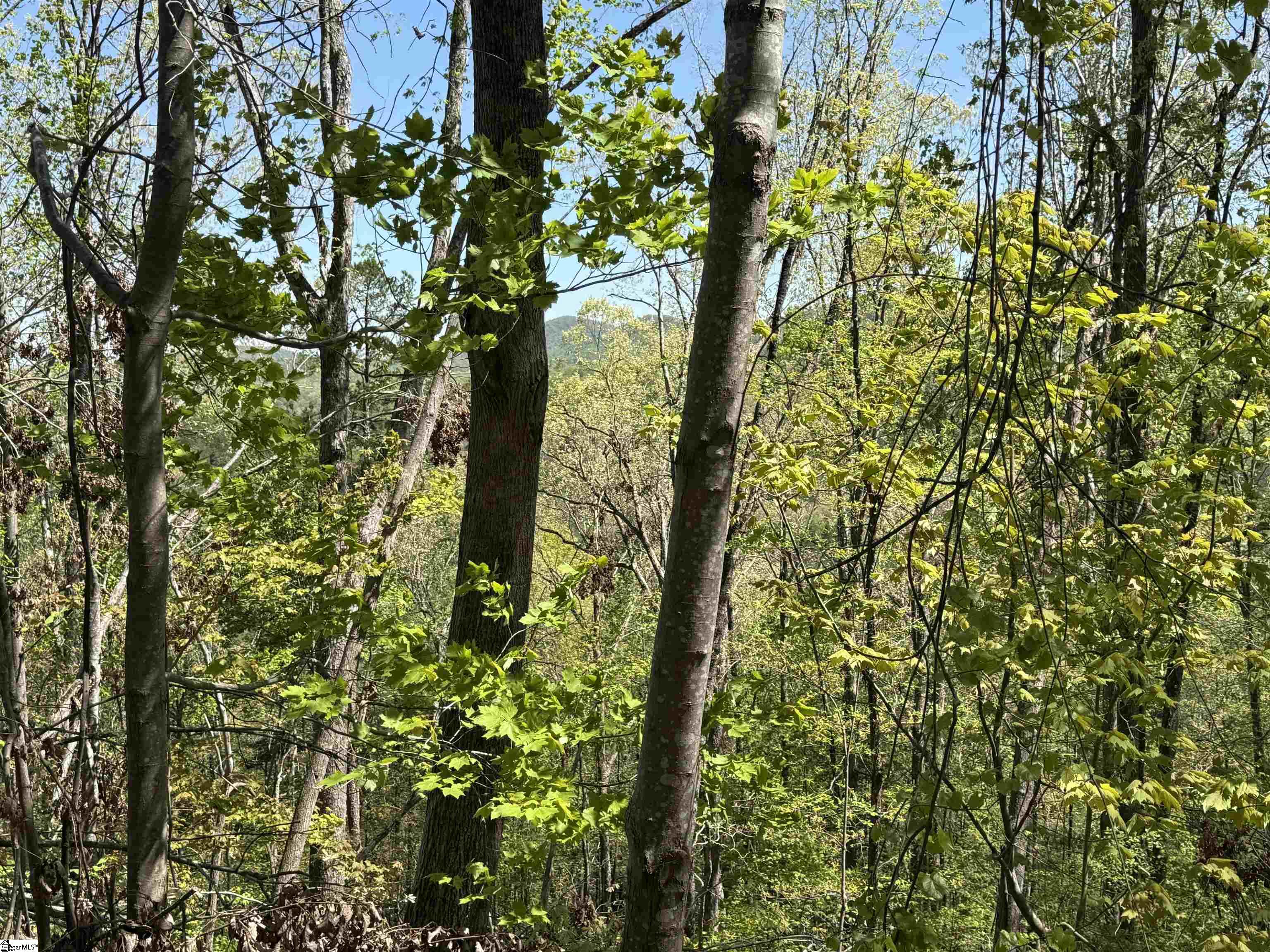 113 Stone Creek, Pickens, South Carolina image 6