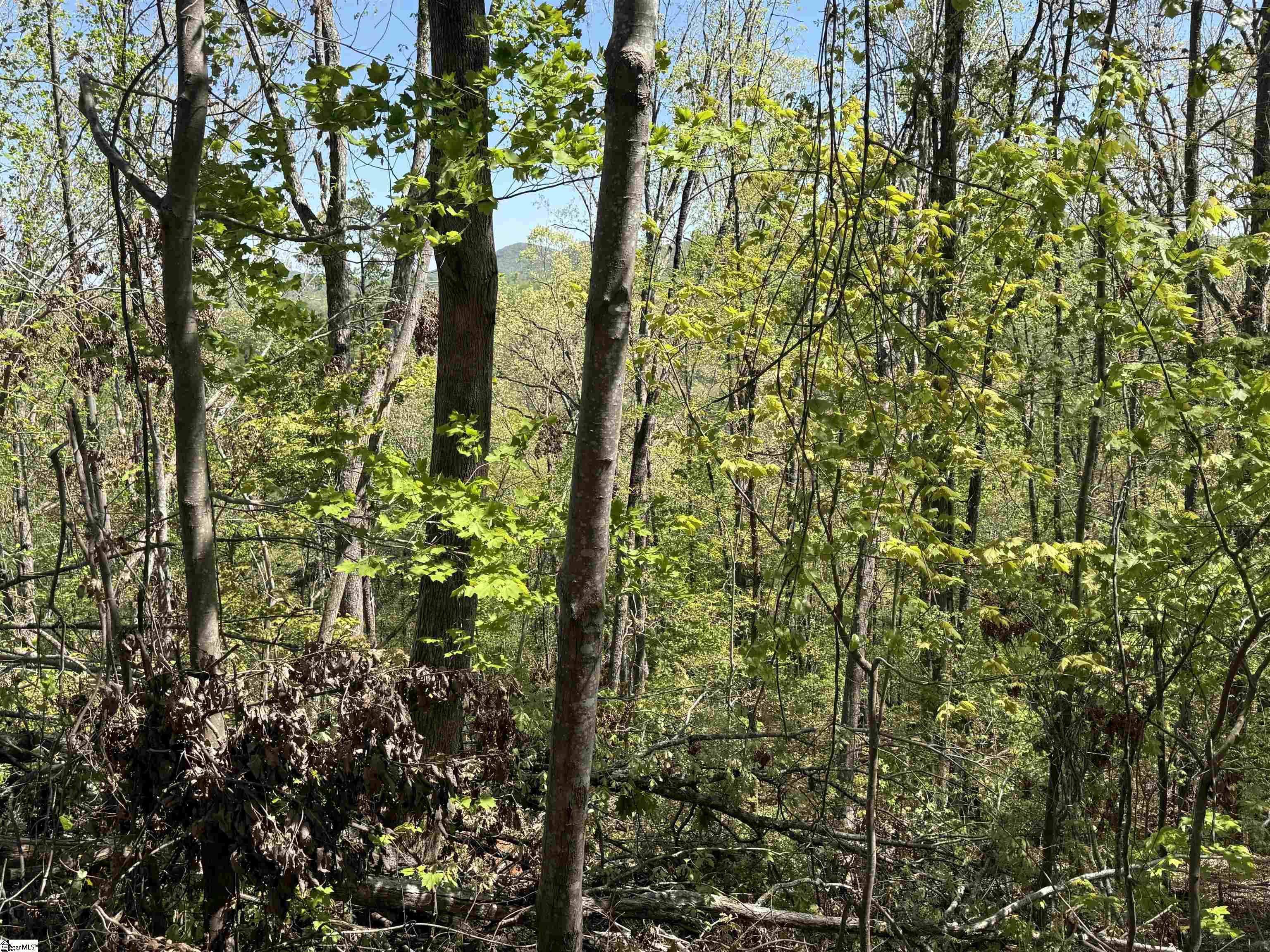 113 Stone Creek, Pickens, South Carolina image 7