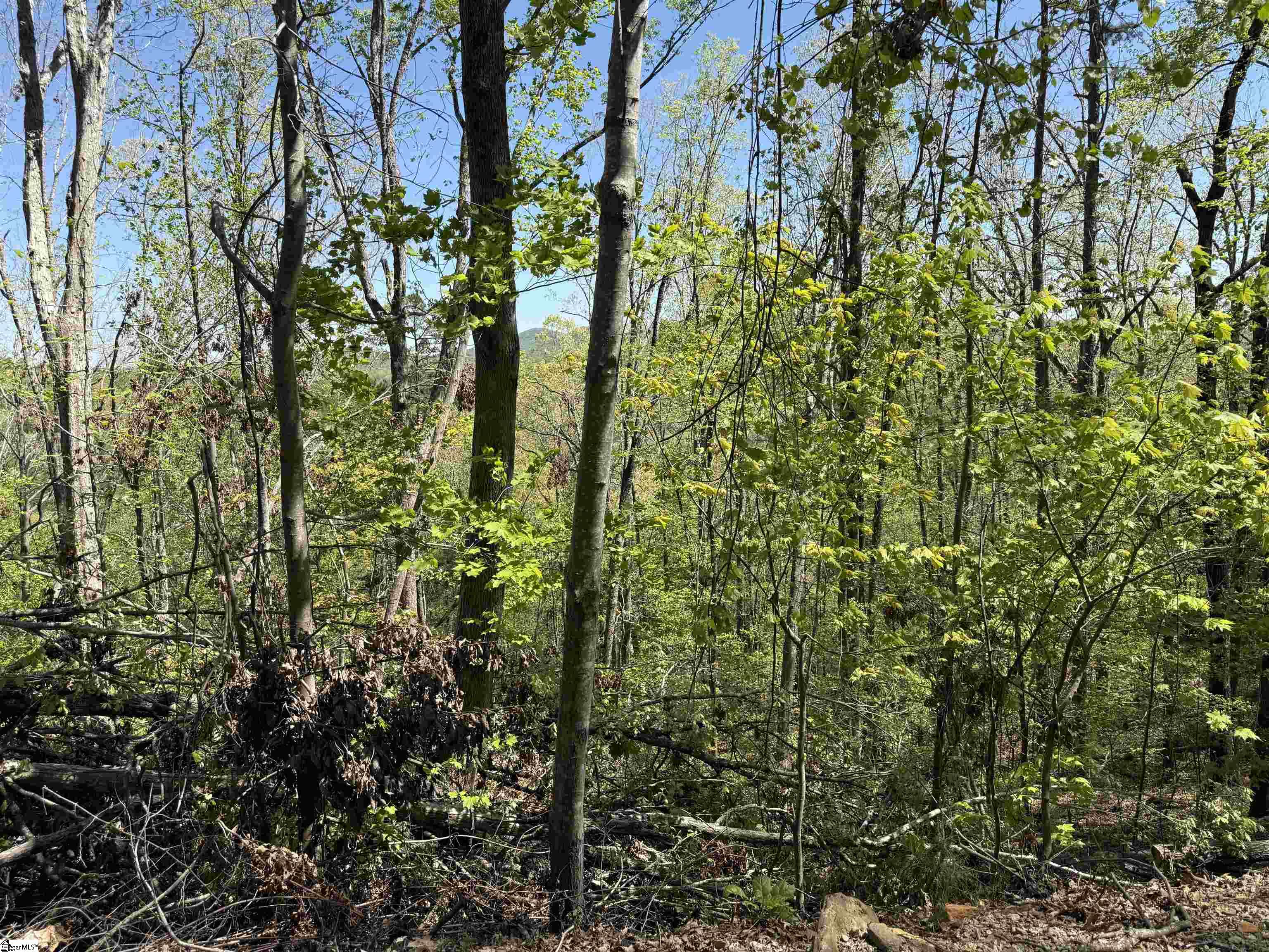 113 Stone Creek, Pickens, South Carolina image 8