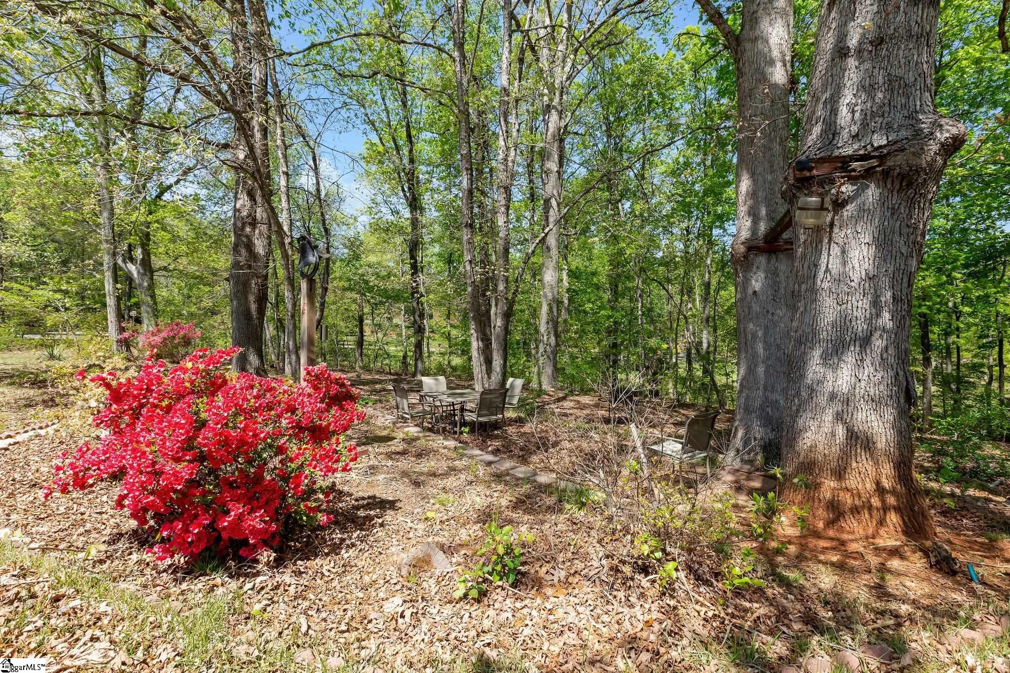 3107 State Park, Greenville, South Carolina image 33