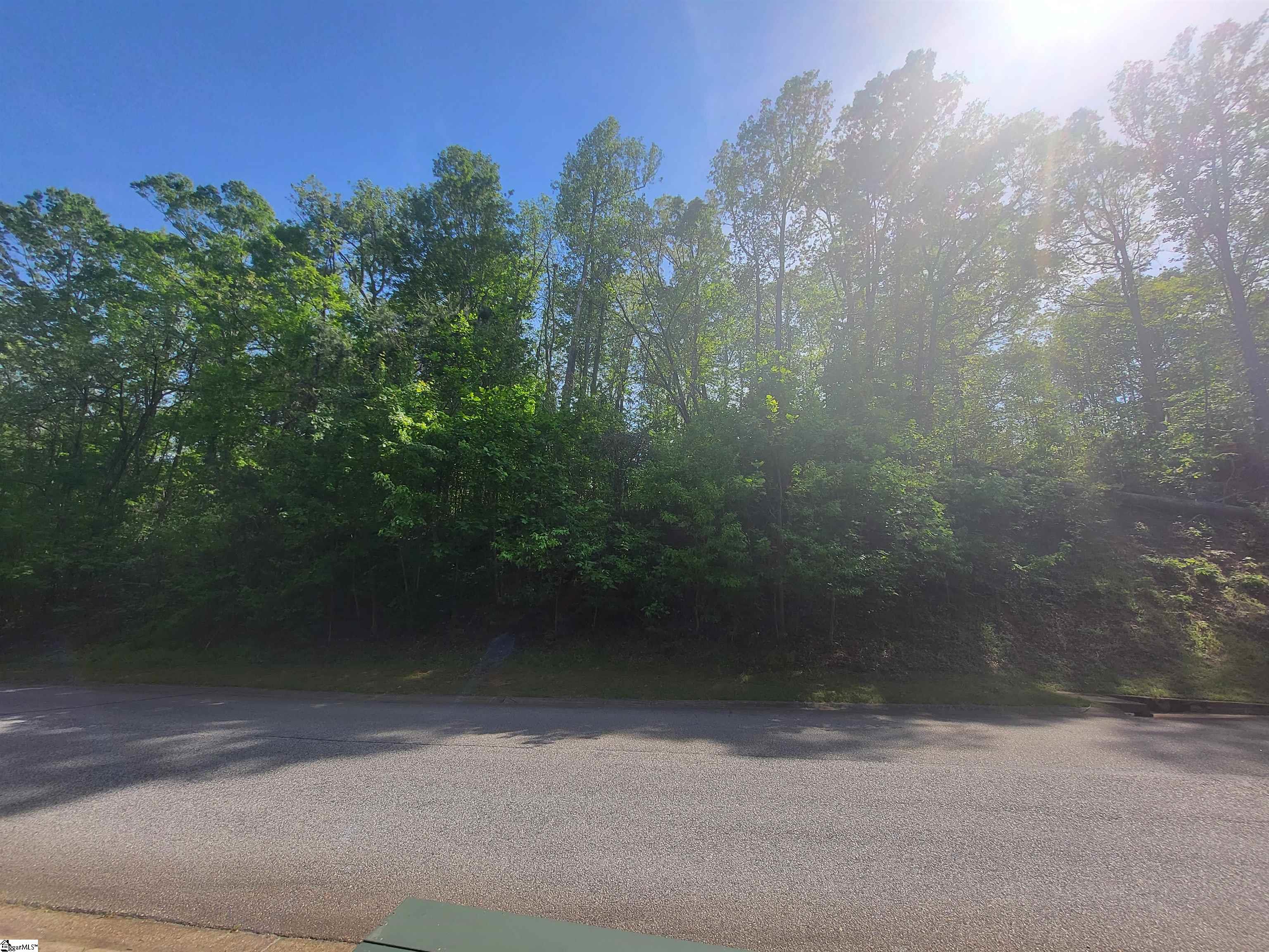 121 Laurel Valley, Travelers Rest, South Carolina image 8