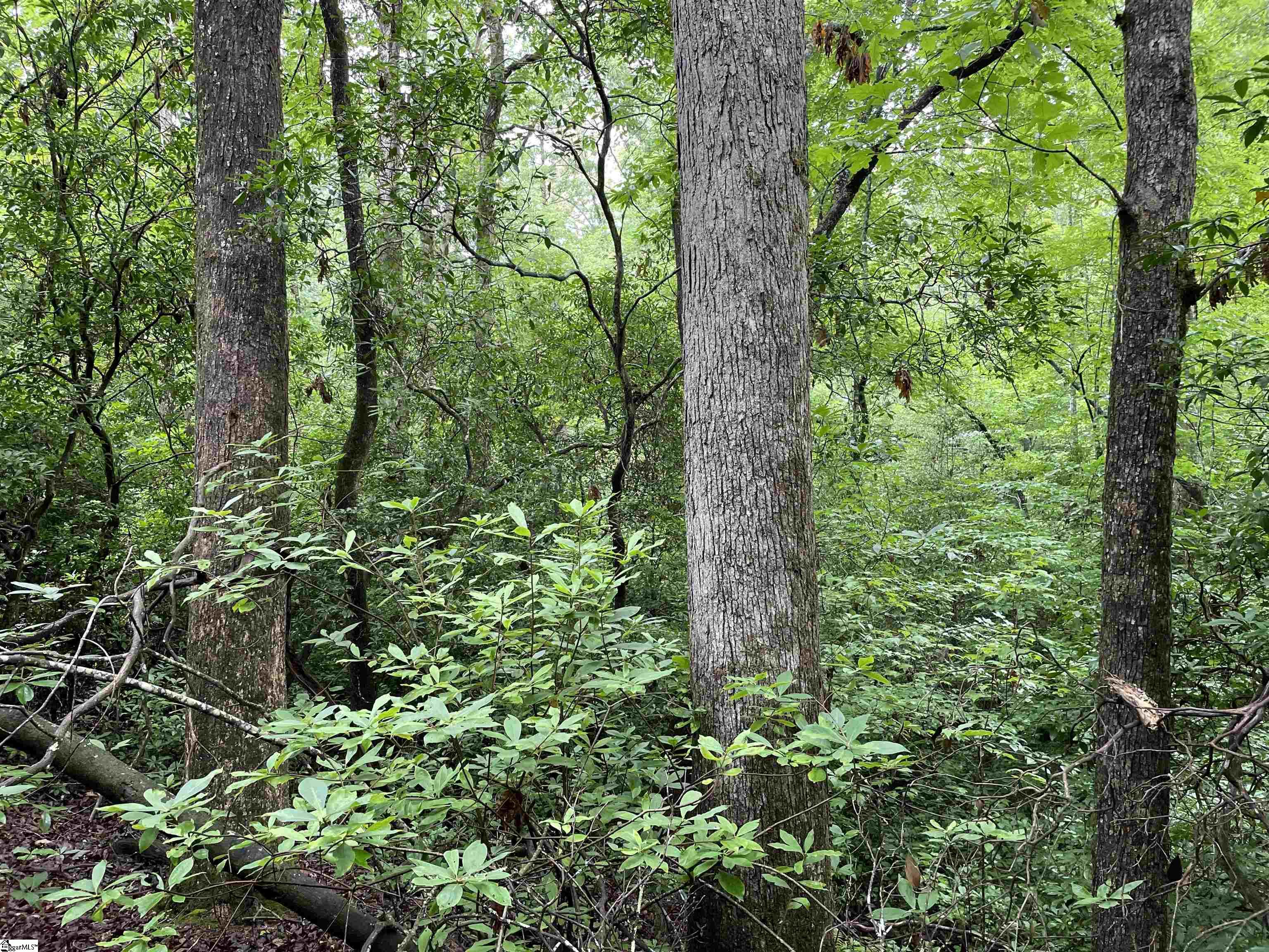 00 N Little River, Tamassee, South Carolina image 12