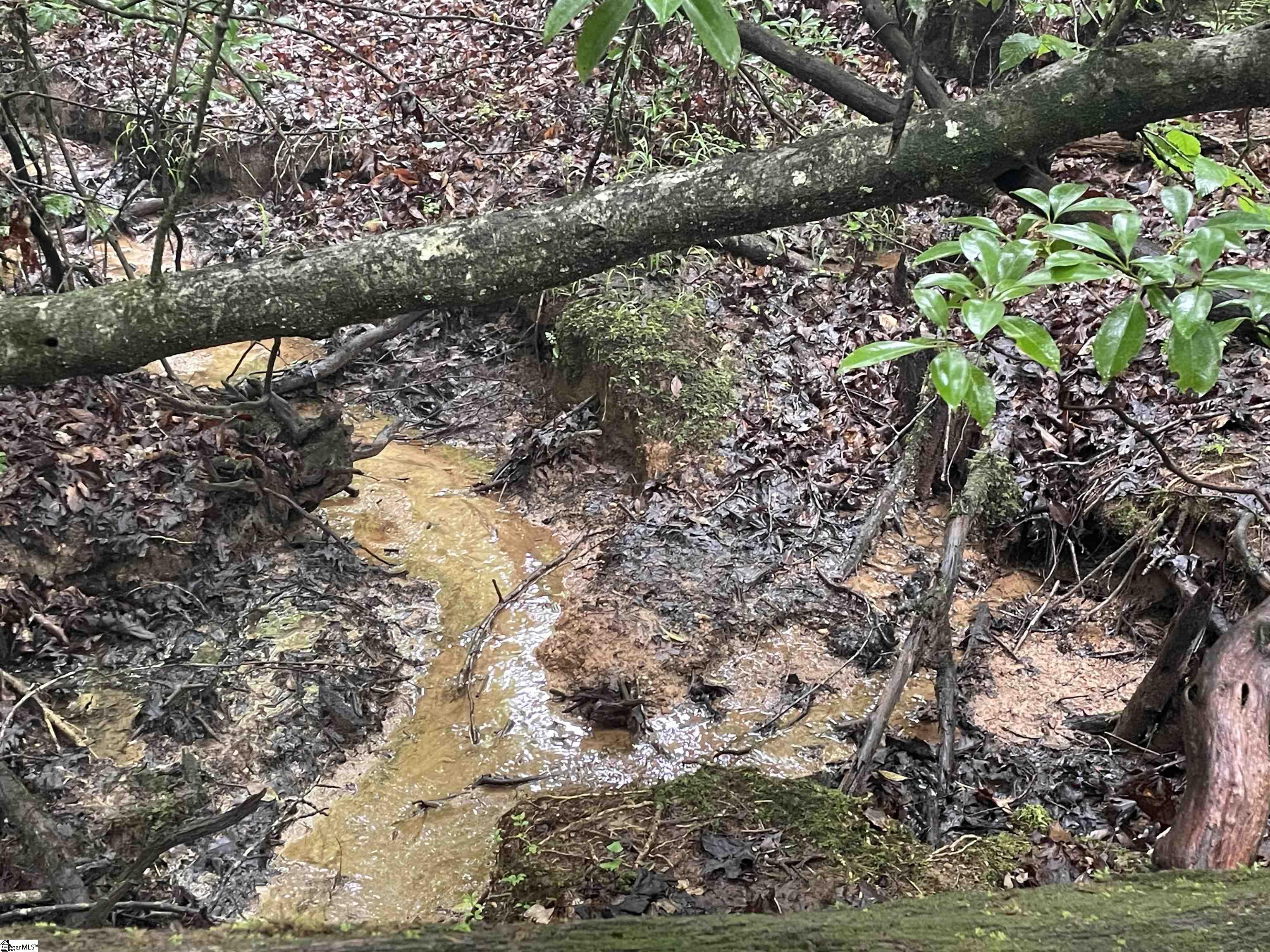 00 N Little River, Tamassee, South Carolina image 3