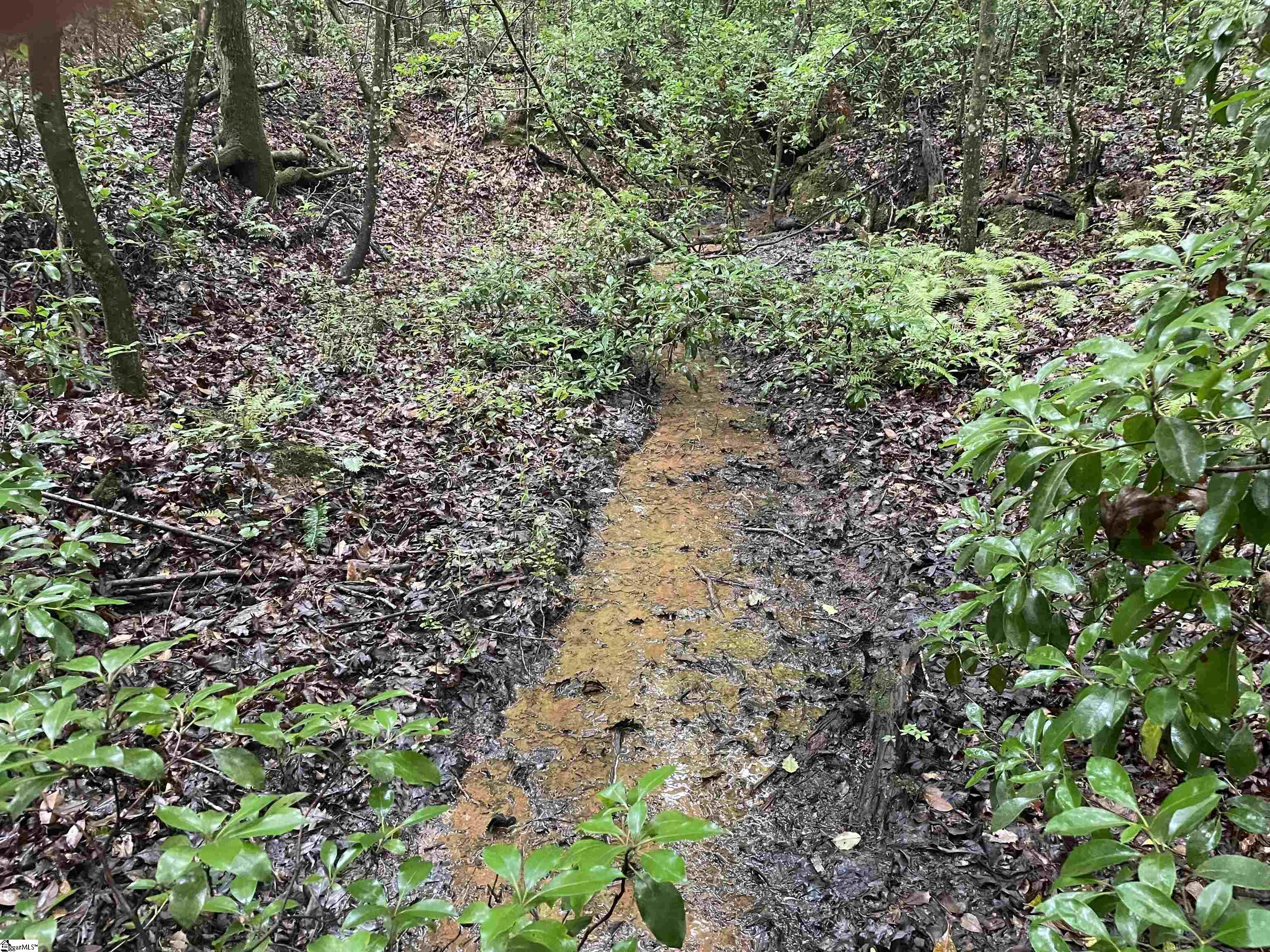 00 N Little River, Tamassee, South Carolina image 5