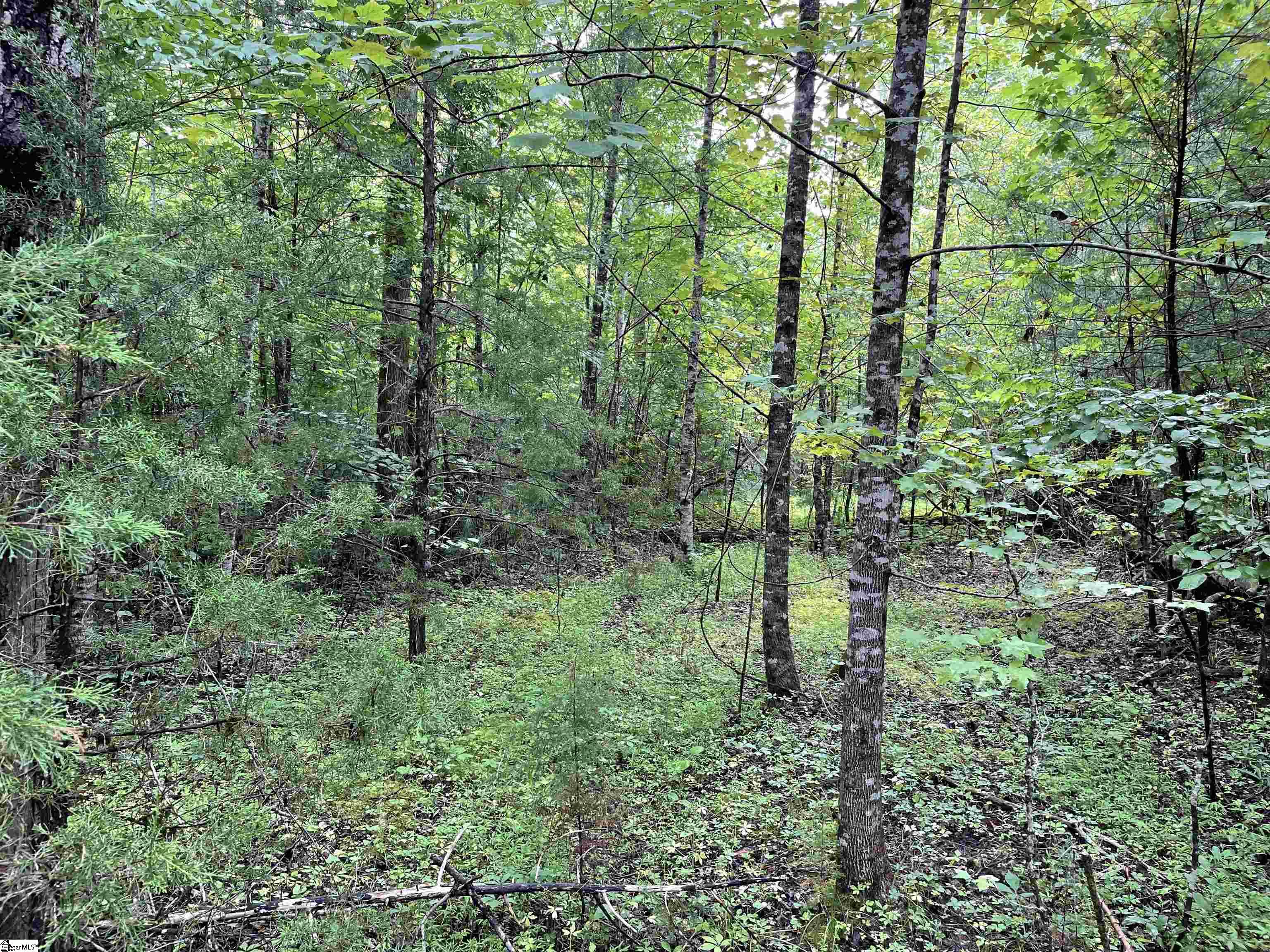 00 N Little River, Tamassee, South Carolina image 8
