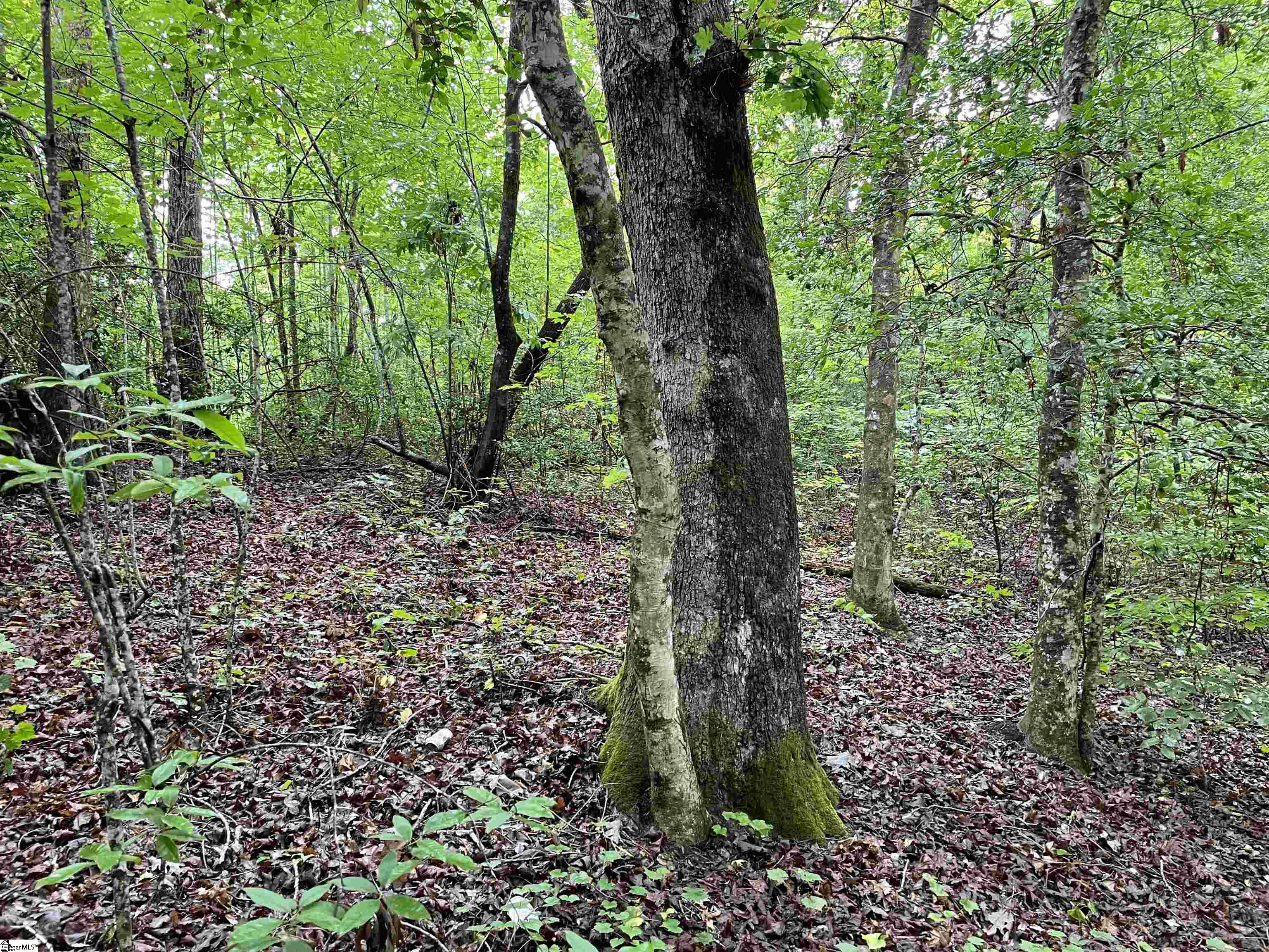 00 N Little River, Tamassee, South Carolina image 9