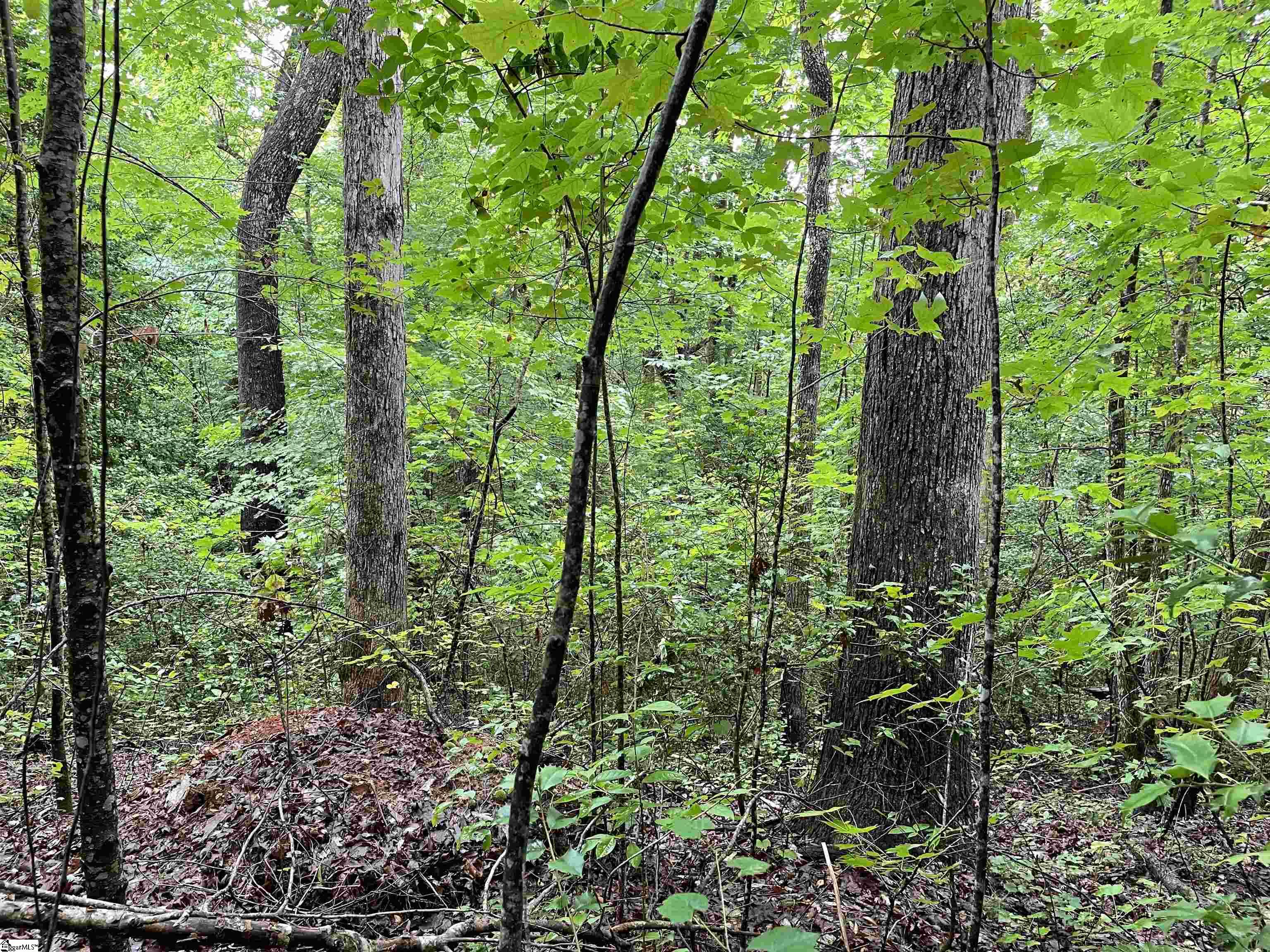 00 N Little River, Tamassee, South Carolina image 10