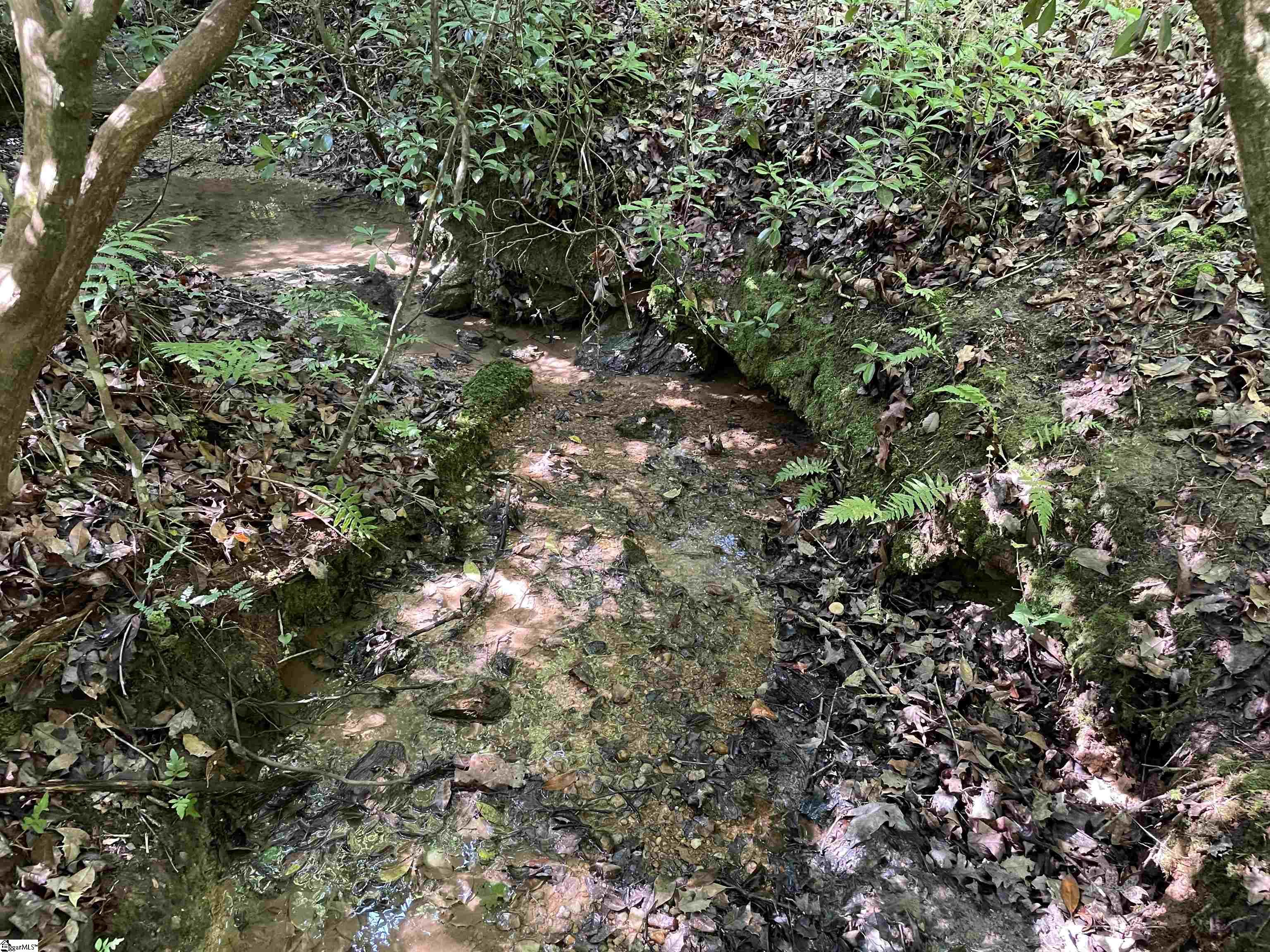 00 Whitewater Point, Tamassee, South Carolina image 2