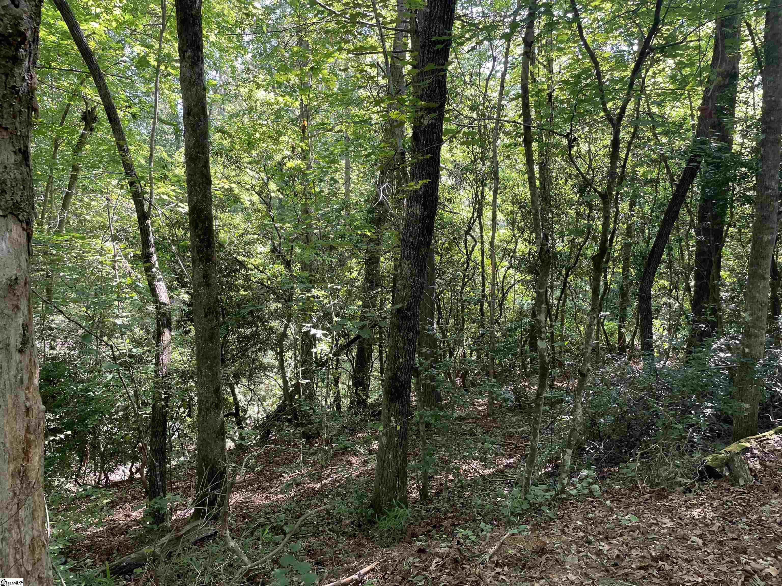 00 Whitewater Point, Tamassee, South Carolina image 11
