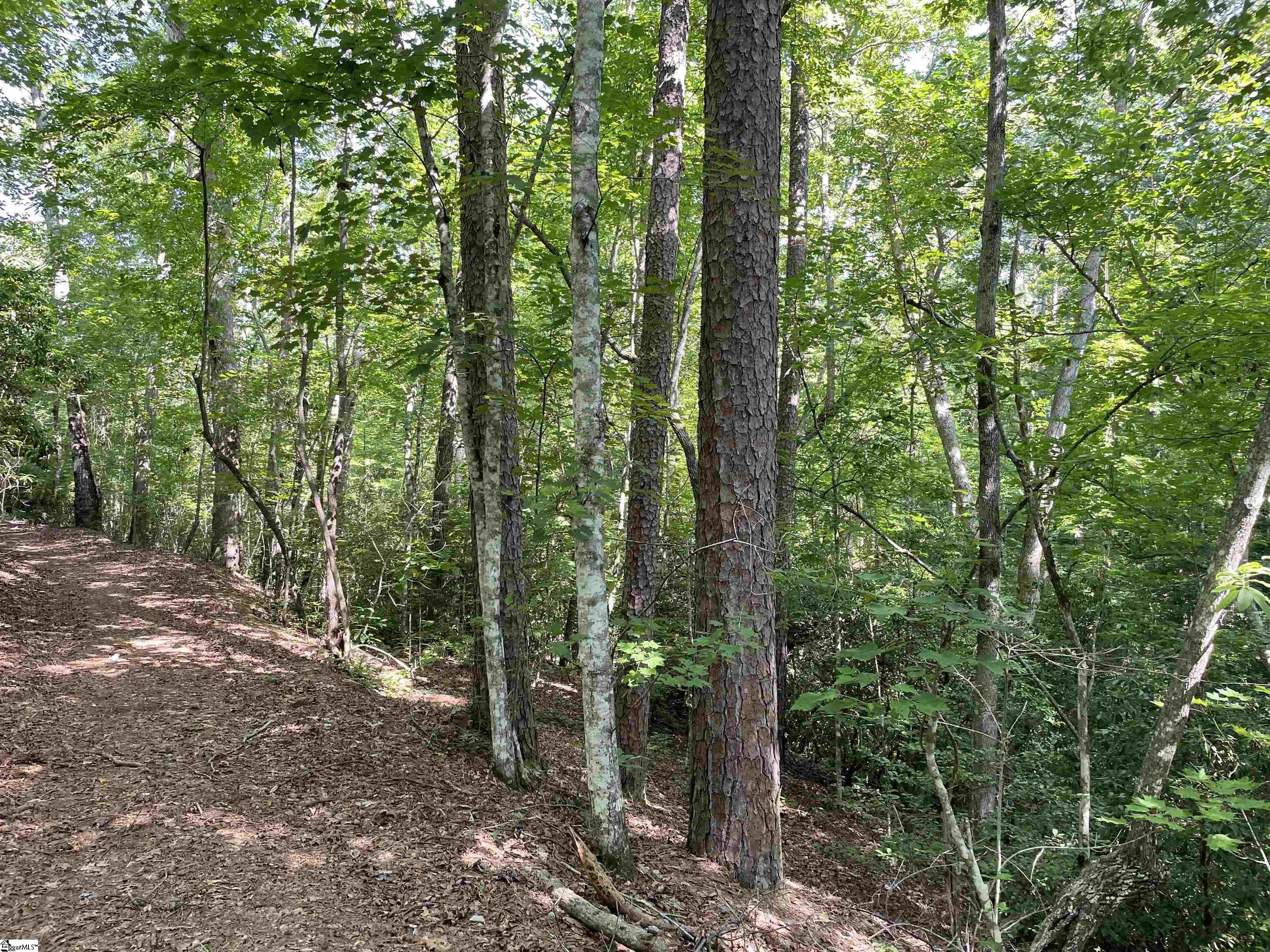 00 Whitewater Point, Tamassee, South Carolina image 12