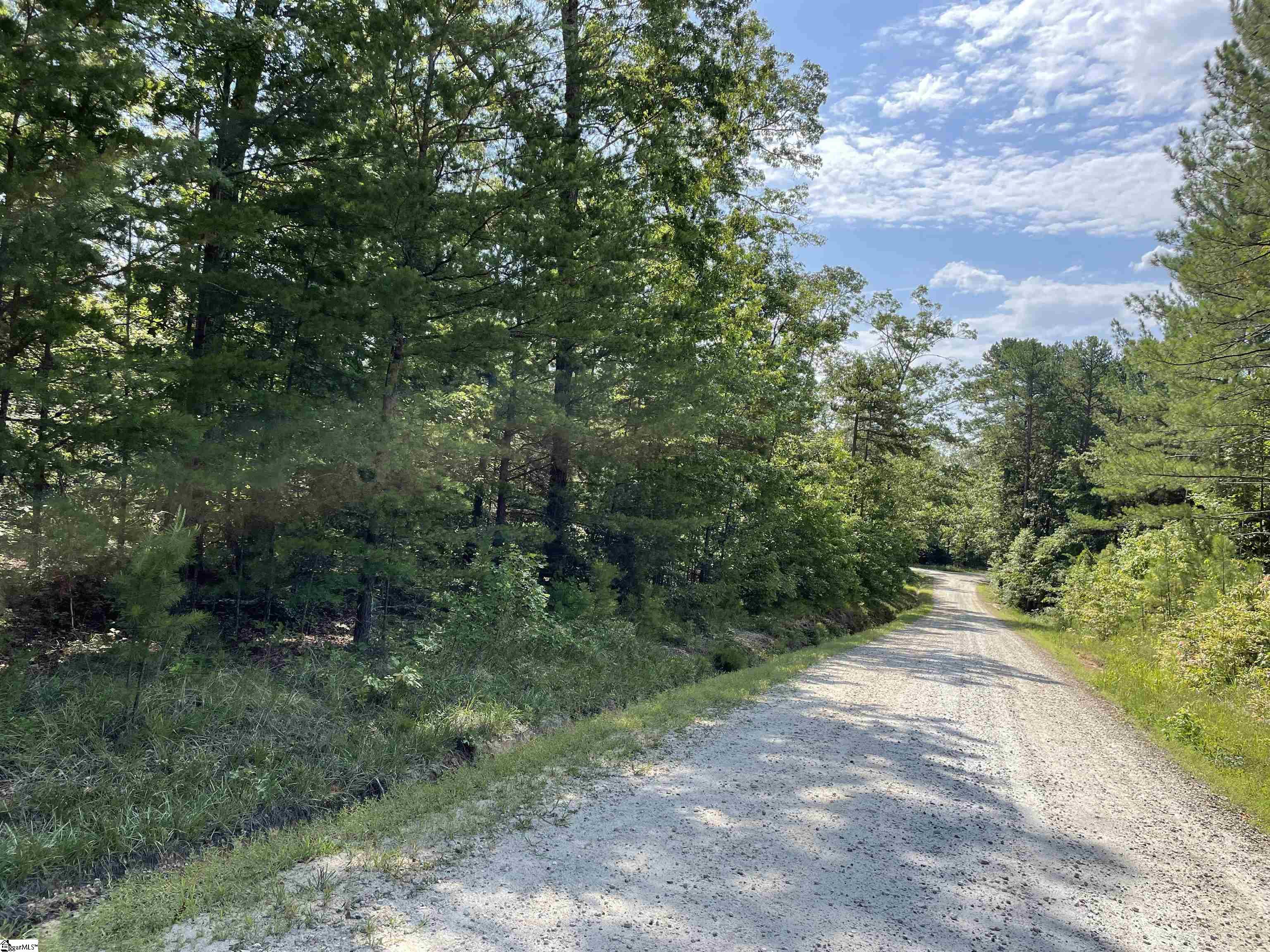 00 Whitewater Point, Tamassee, South Carolina image 13