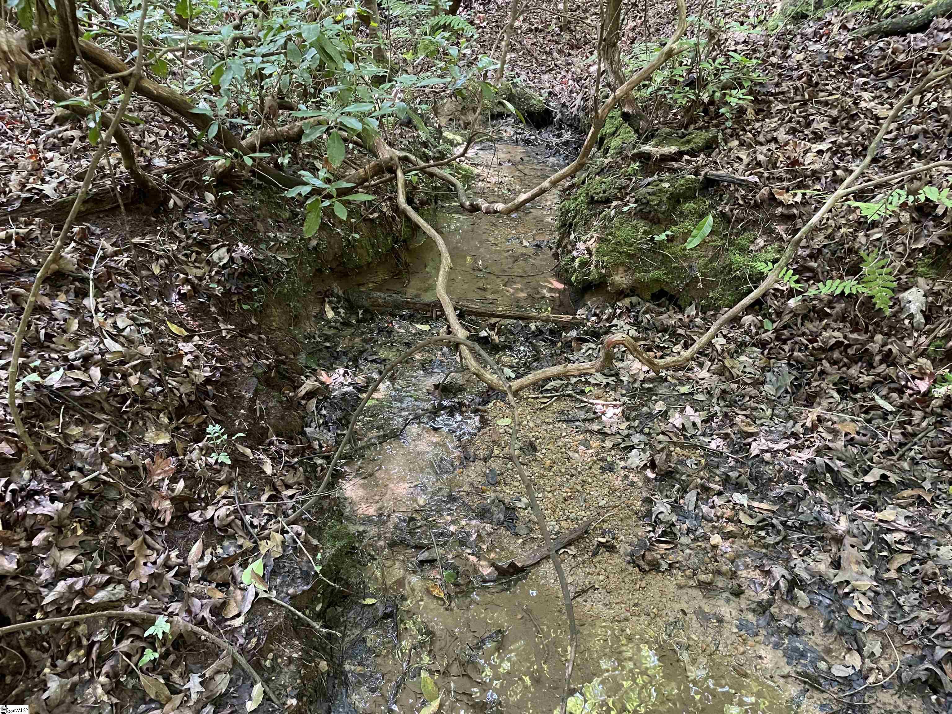 00 Whitewater Point, Tamassee, South Carolina image 3
