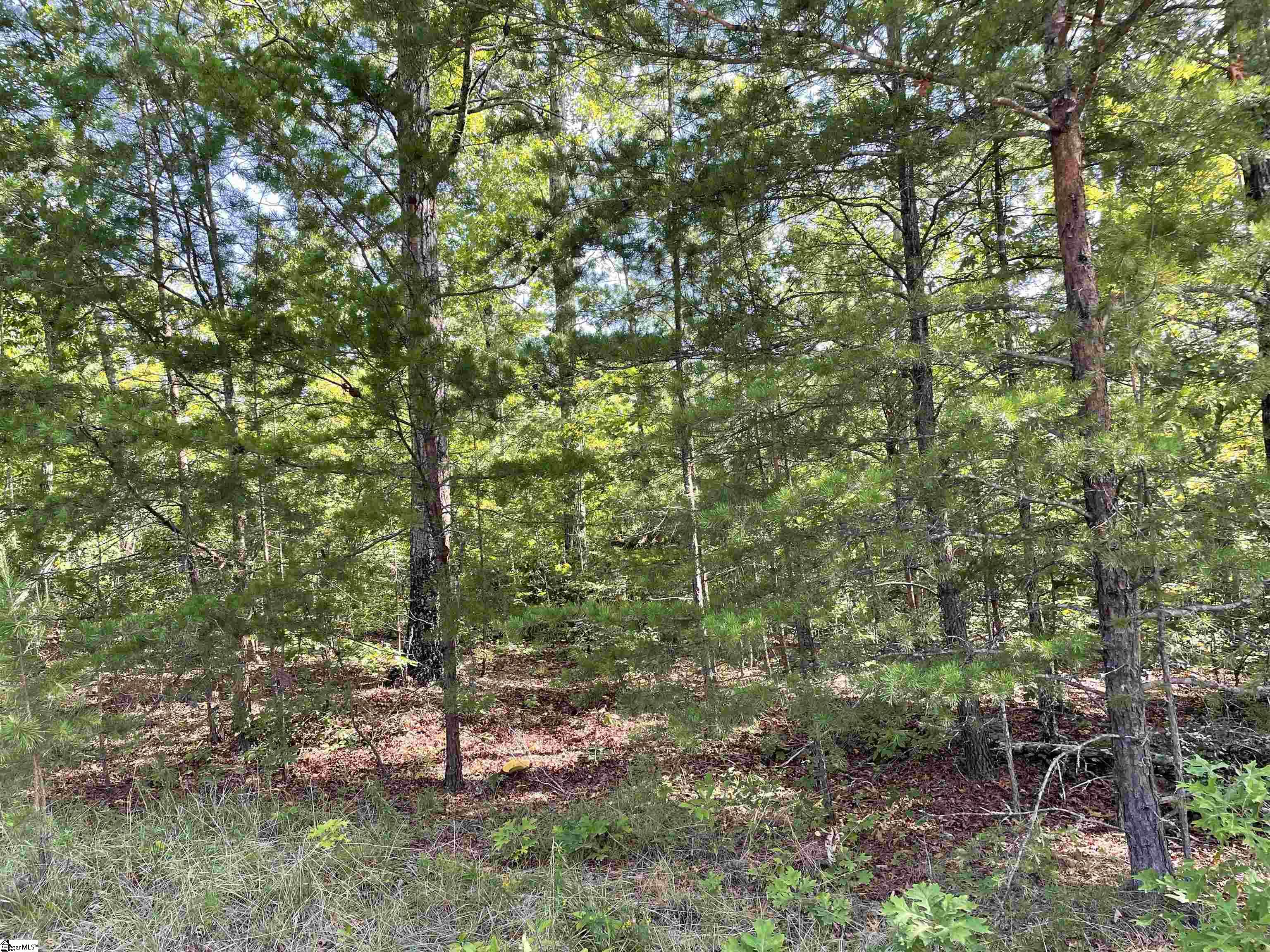 00 Whitewater Point, Tamassee, South Carolina image 5