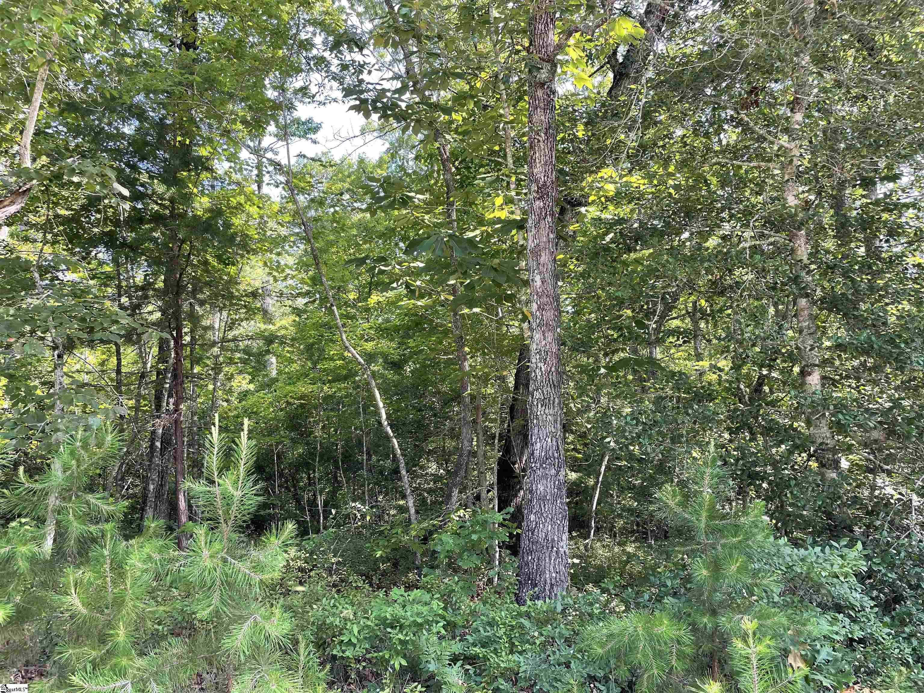 00 Whitewater Point, Tamassee, South Carolina image 6