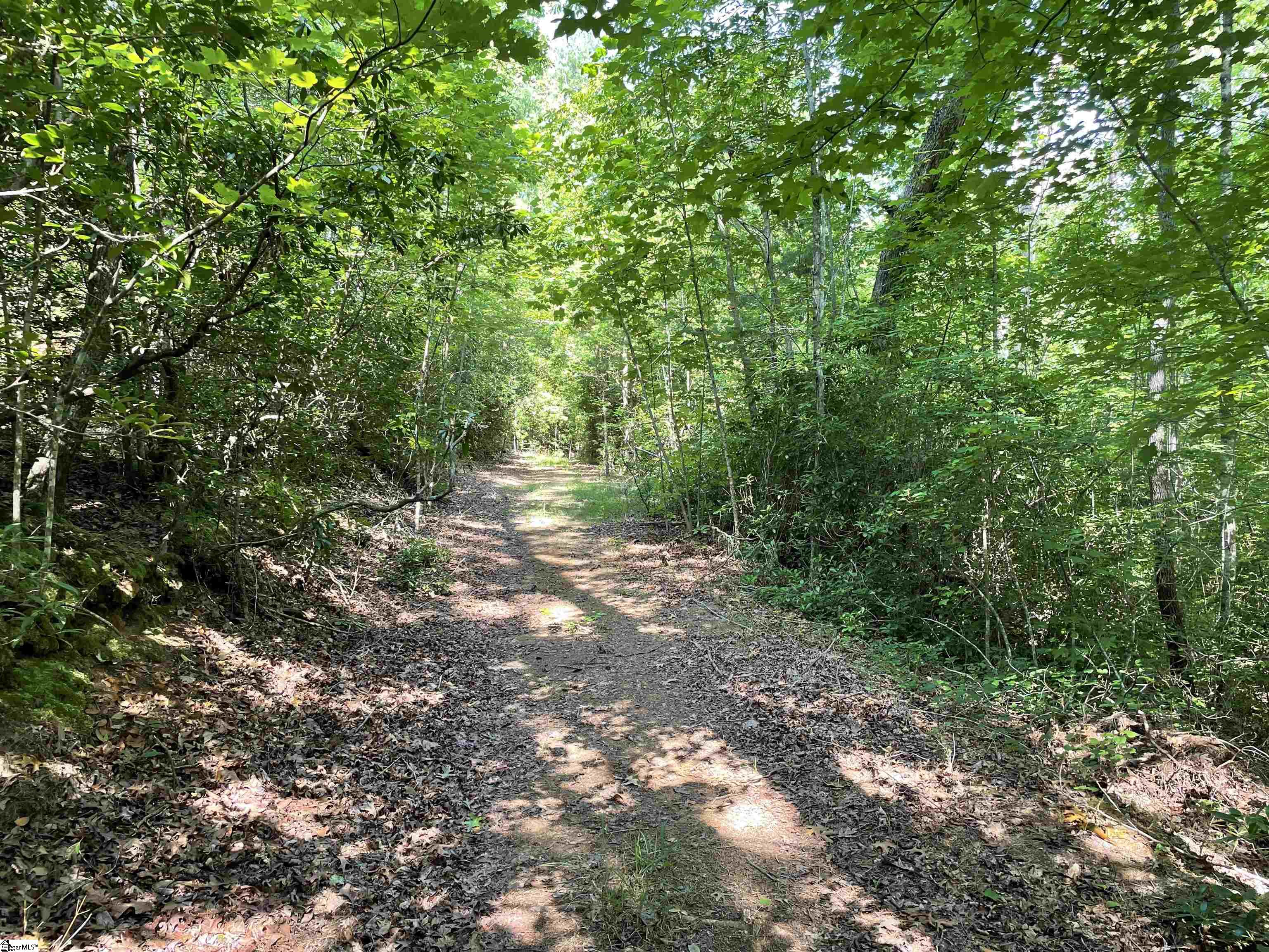 00 Whitewater Point, Tamassee, South Carolina image 8