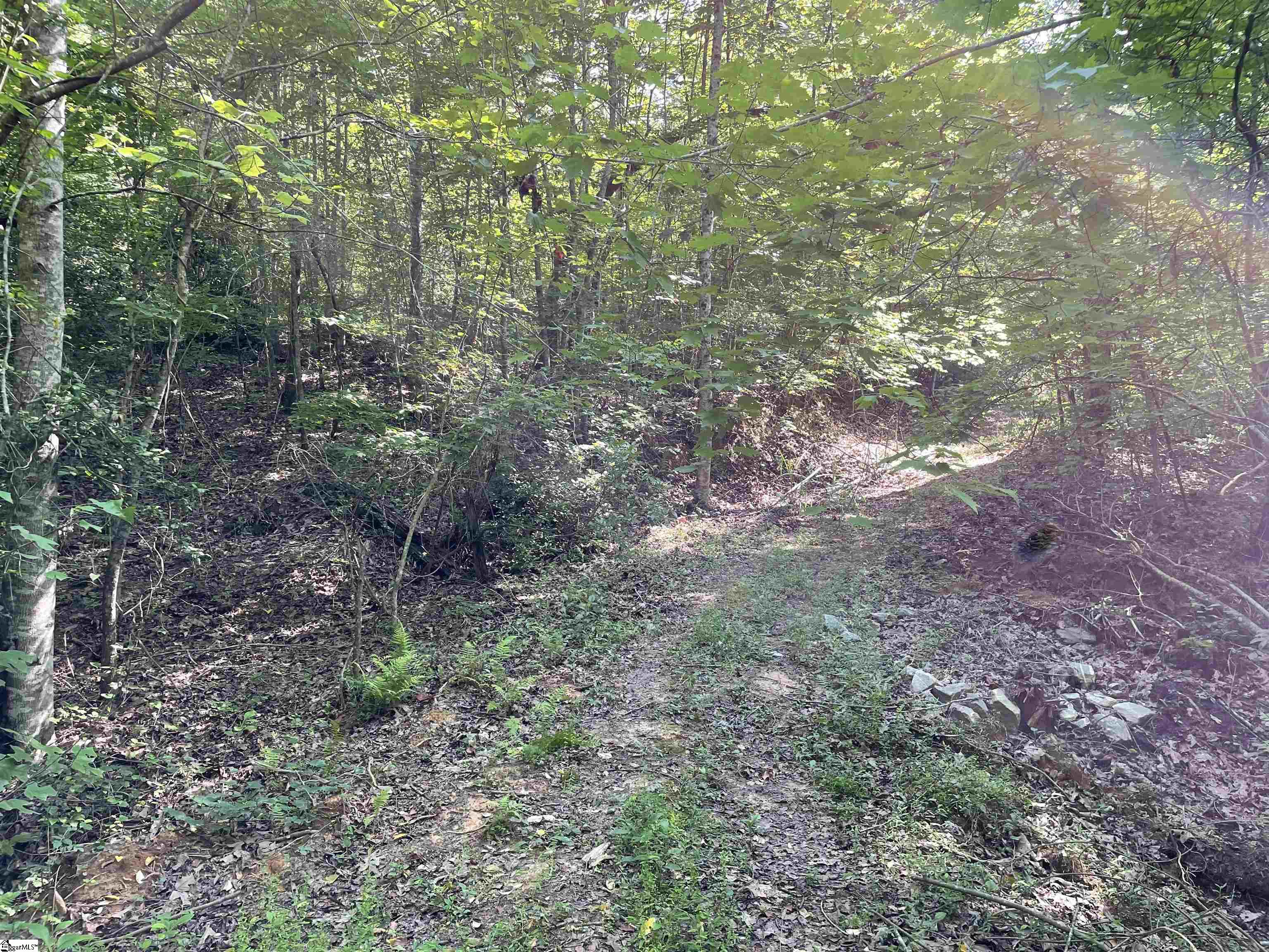 00 Whitewater Point, Tamassee, South Carolina image 9