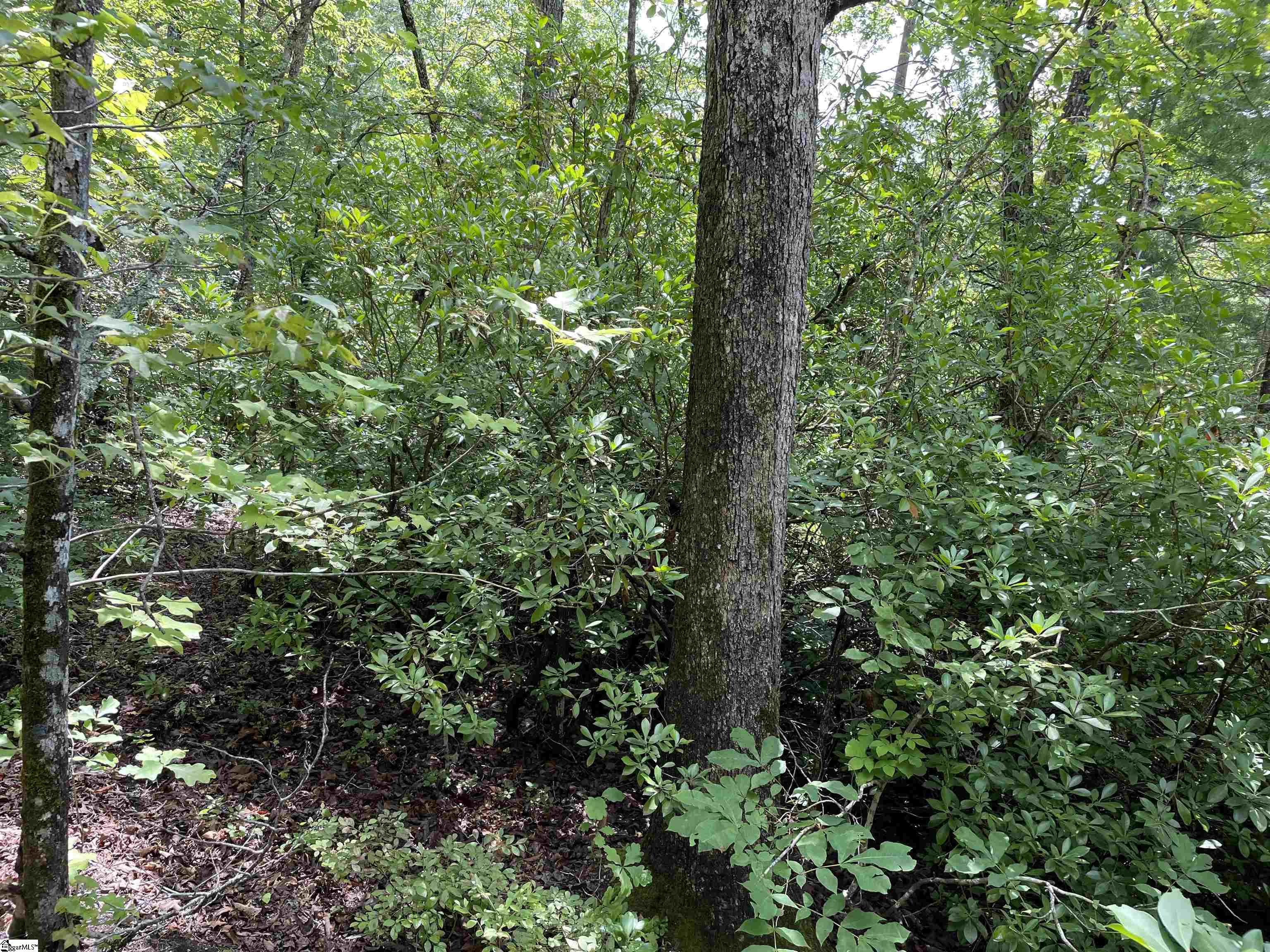 00 Easy, Tamassee, South Carolina image 11