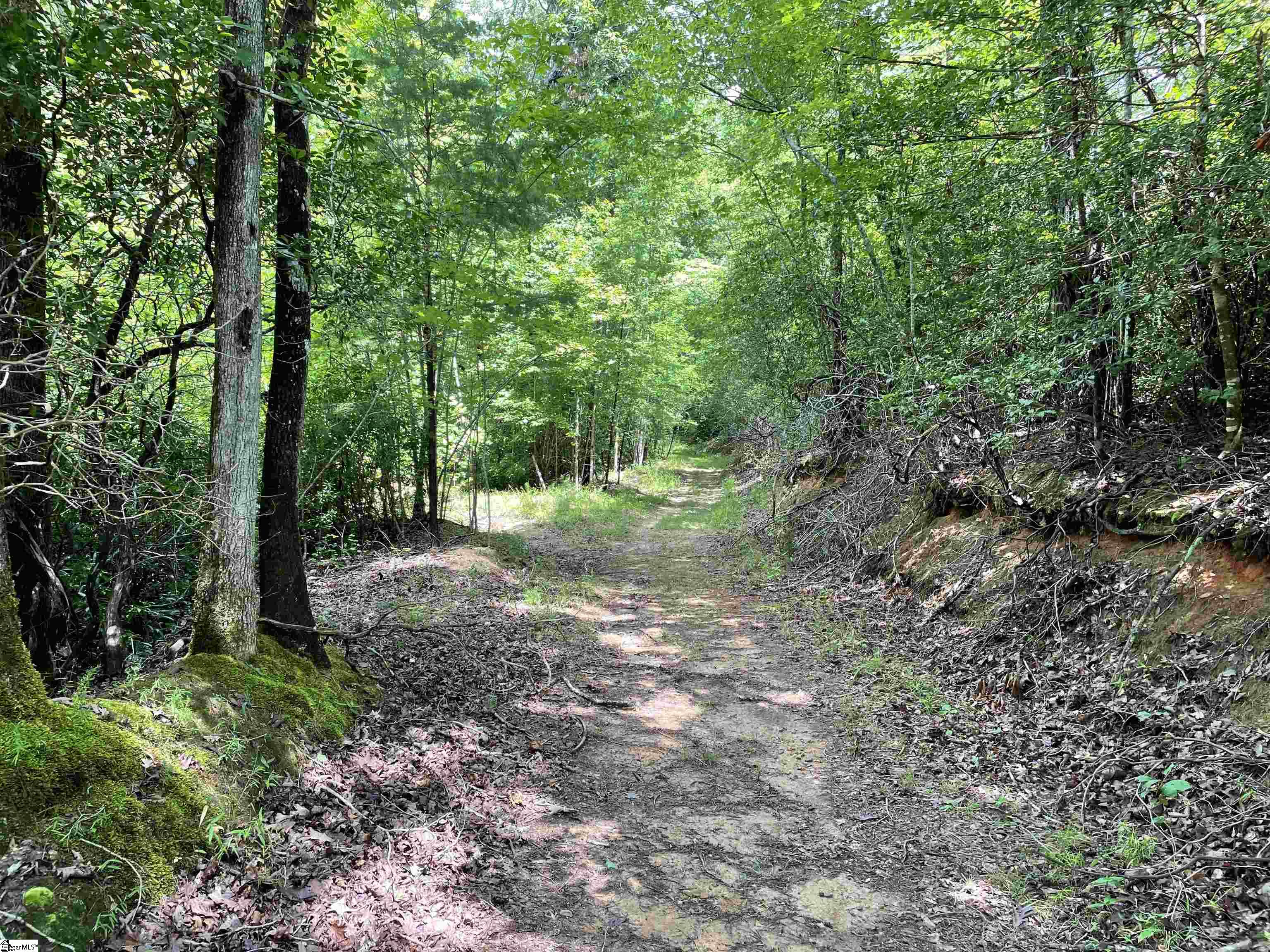 00 Easy, Tamassee, South Carolina image 12