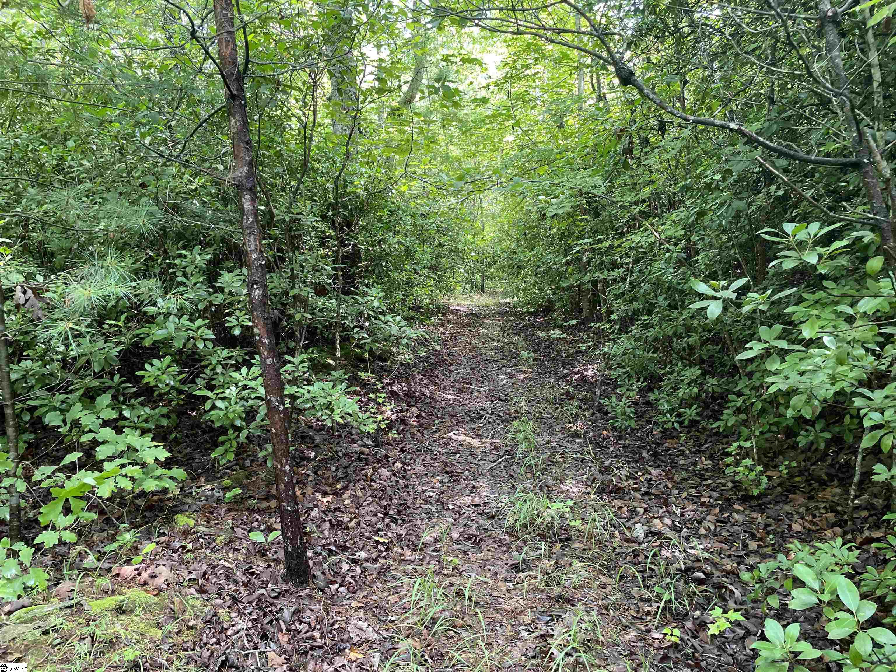 00 Easy, Tamassee, South Carolina image 13