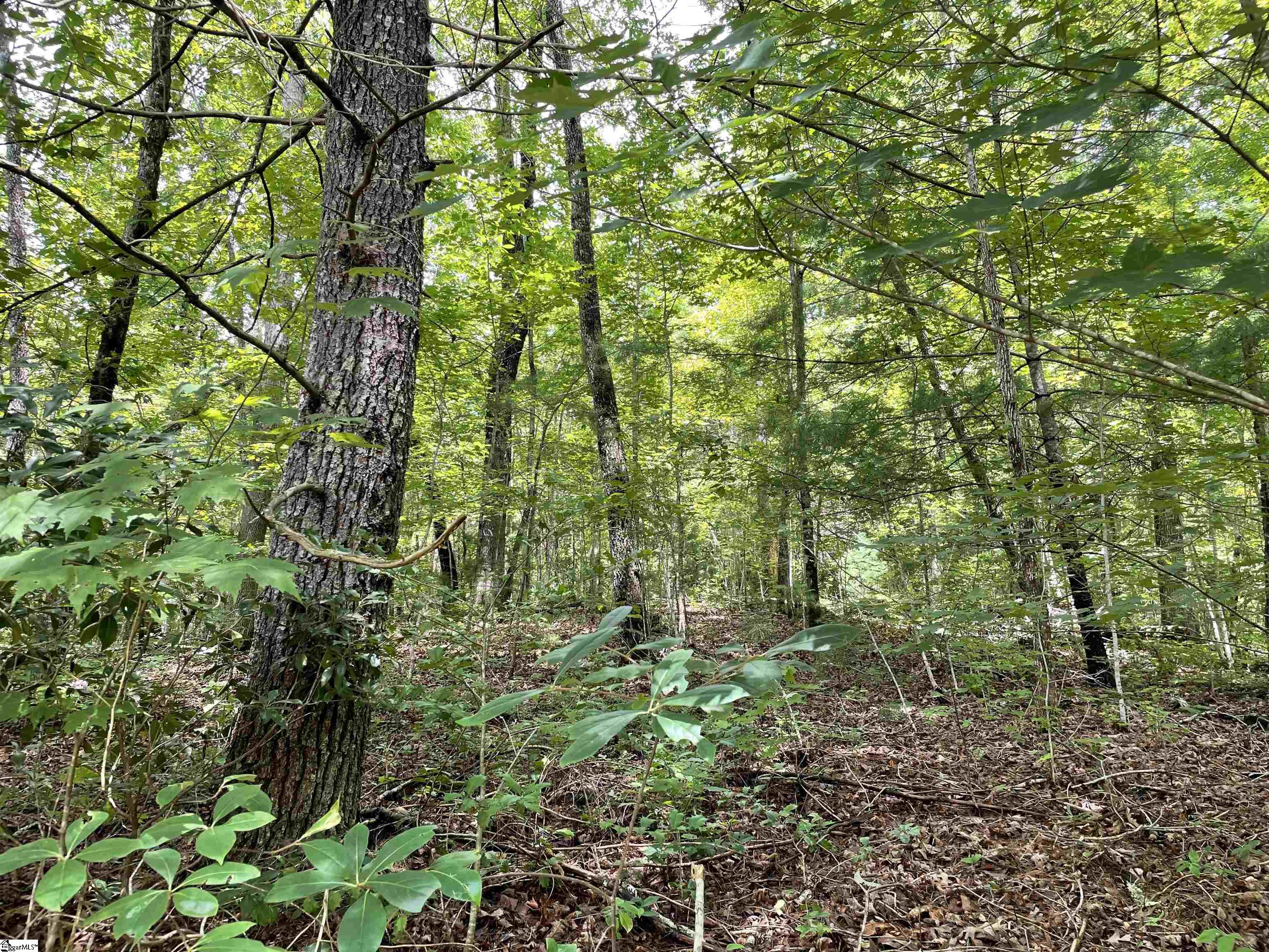 00 Easy, Tamassee, South Carolina image 11