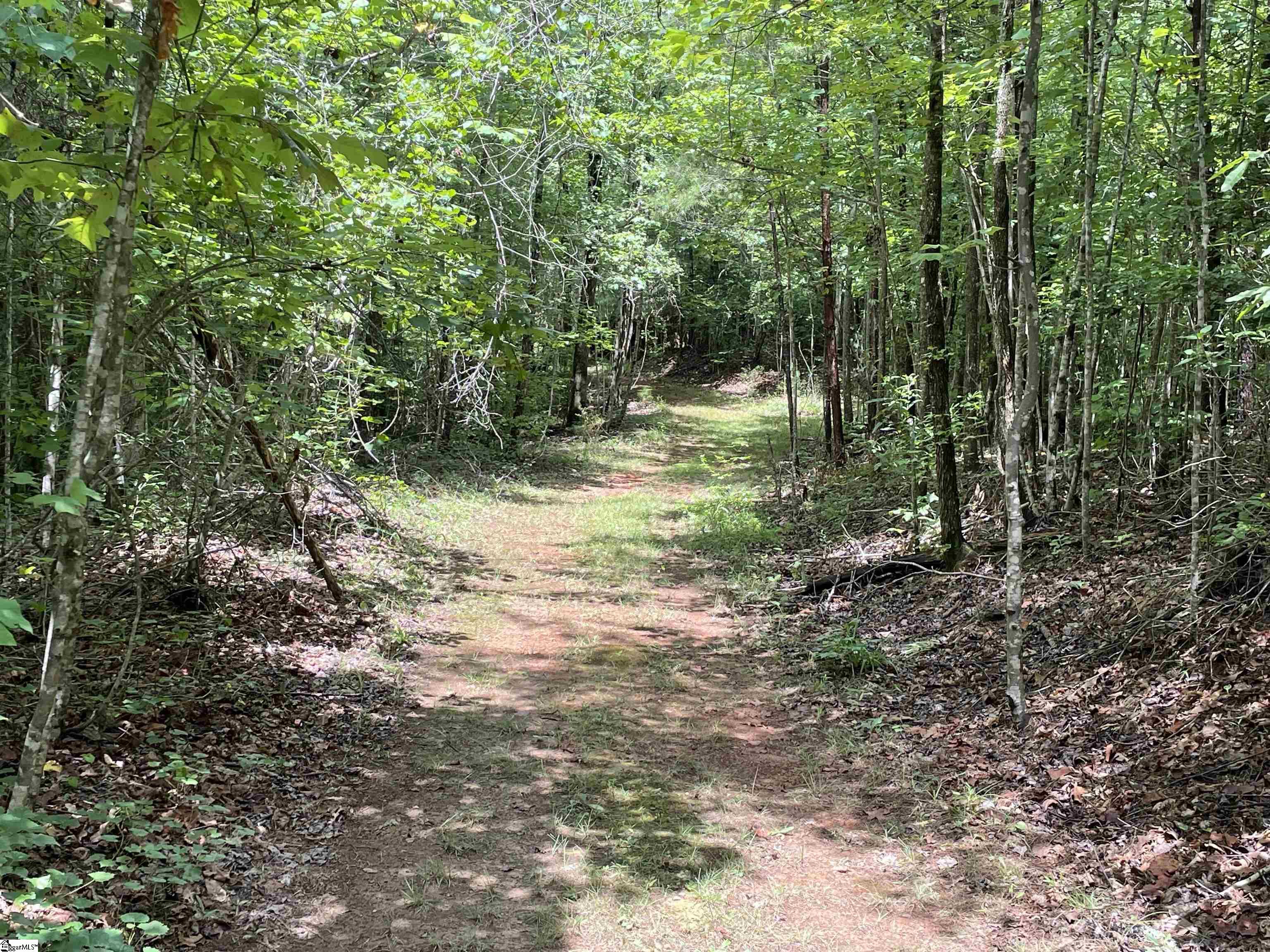 00 Easy, Tamassee, South Carolina image 18