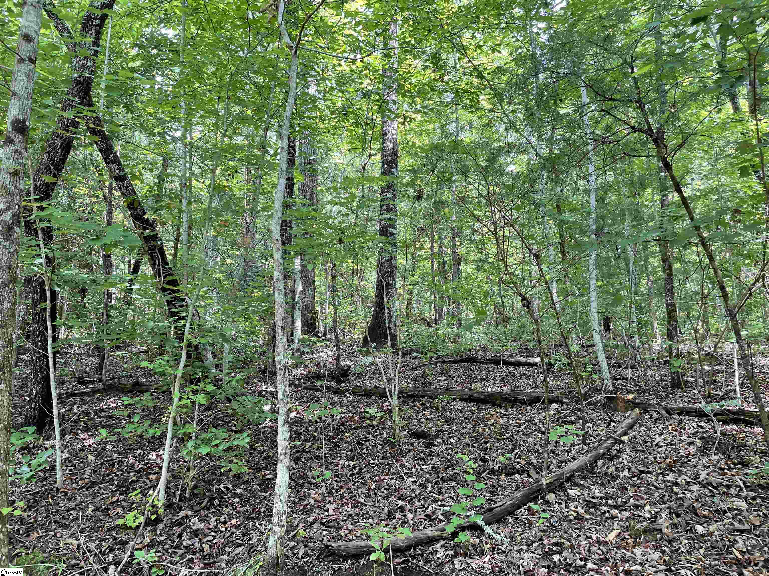 00 Easy, Tamassee, South Carolina image 10