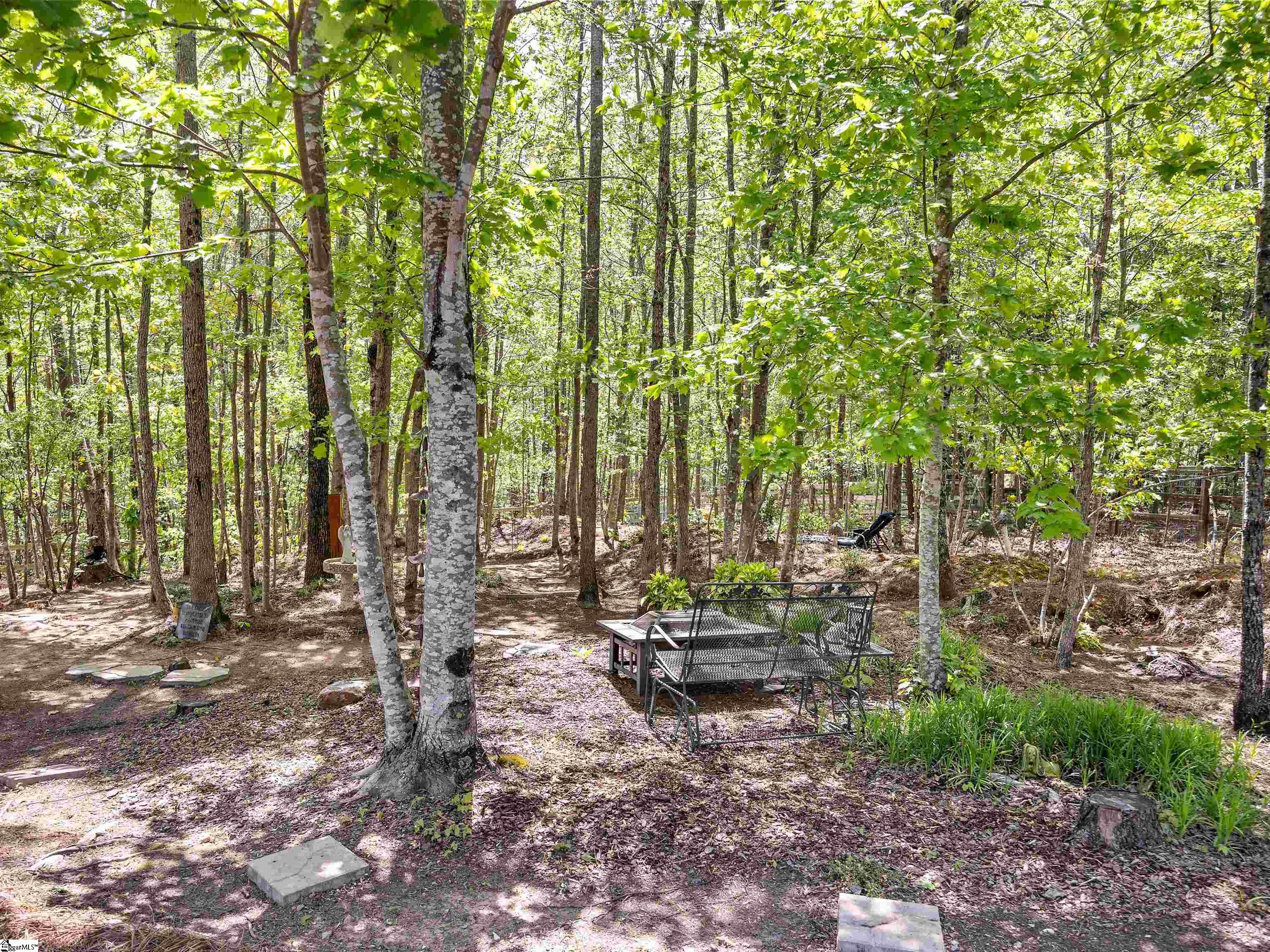 1175 Highway 11, Landrum, South Carolina image 44