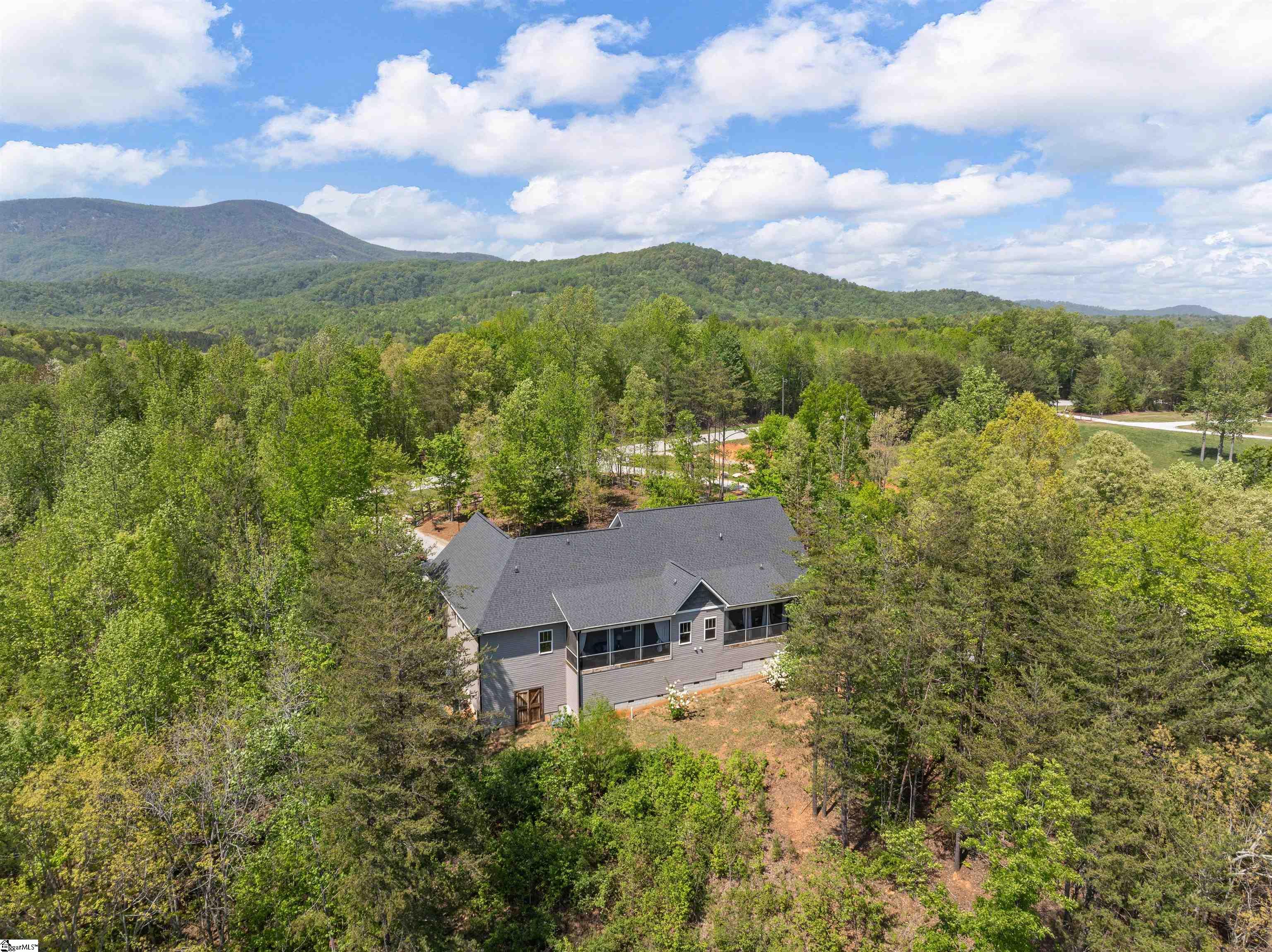 1175 Highway 11, Landrum, South Carolina image 46