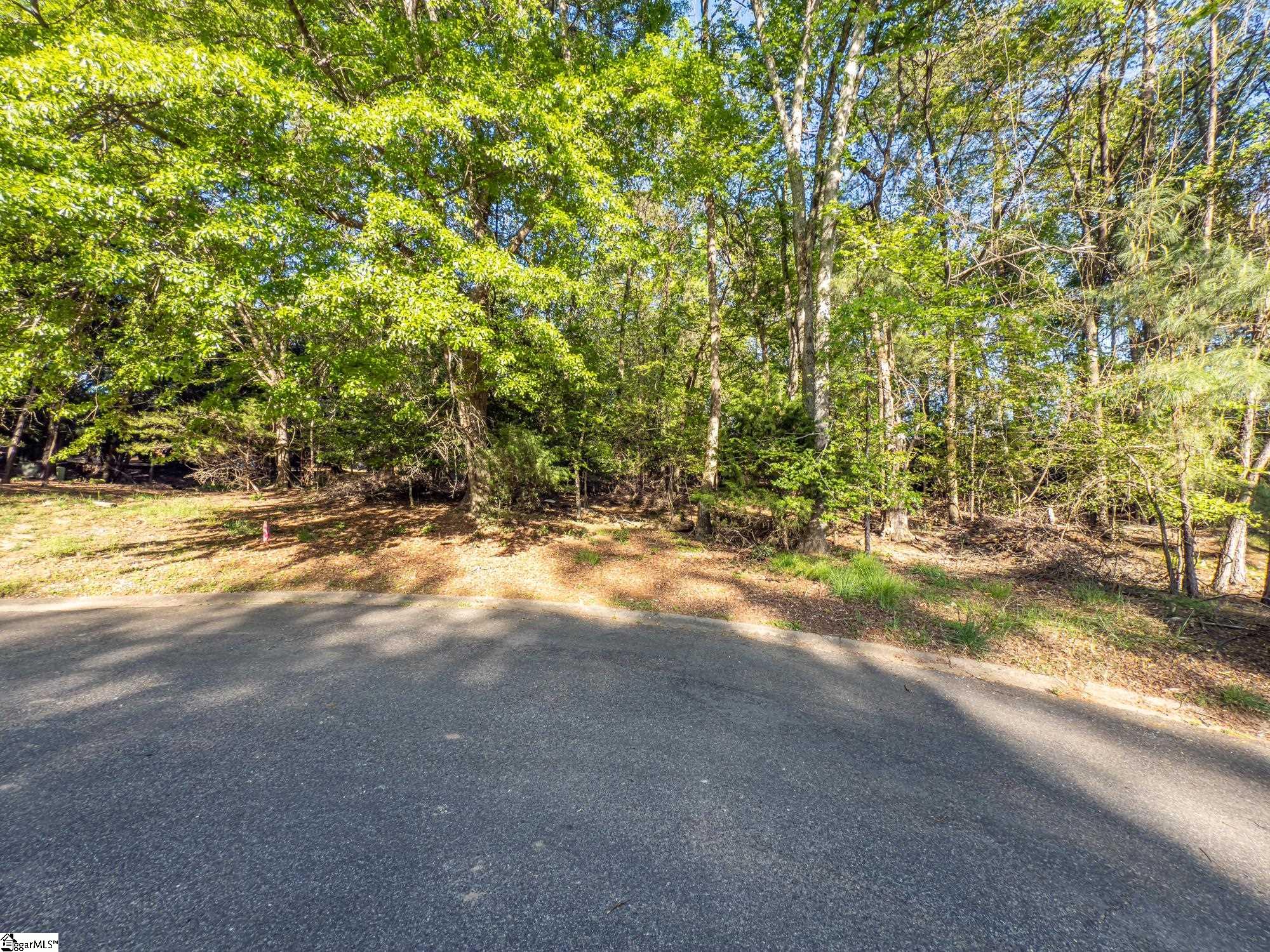 160 Turnberry, Spartanburg, South Carolina image 8