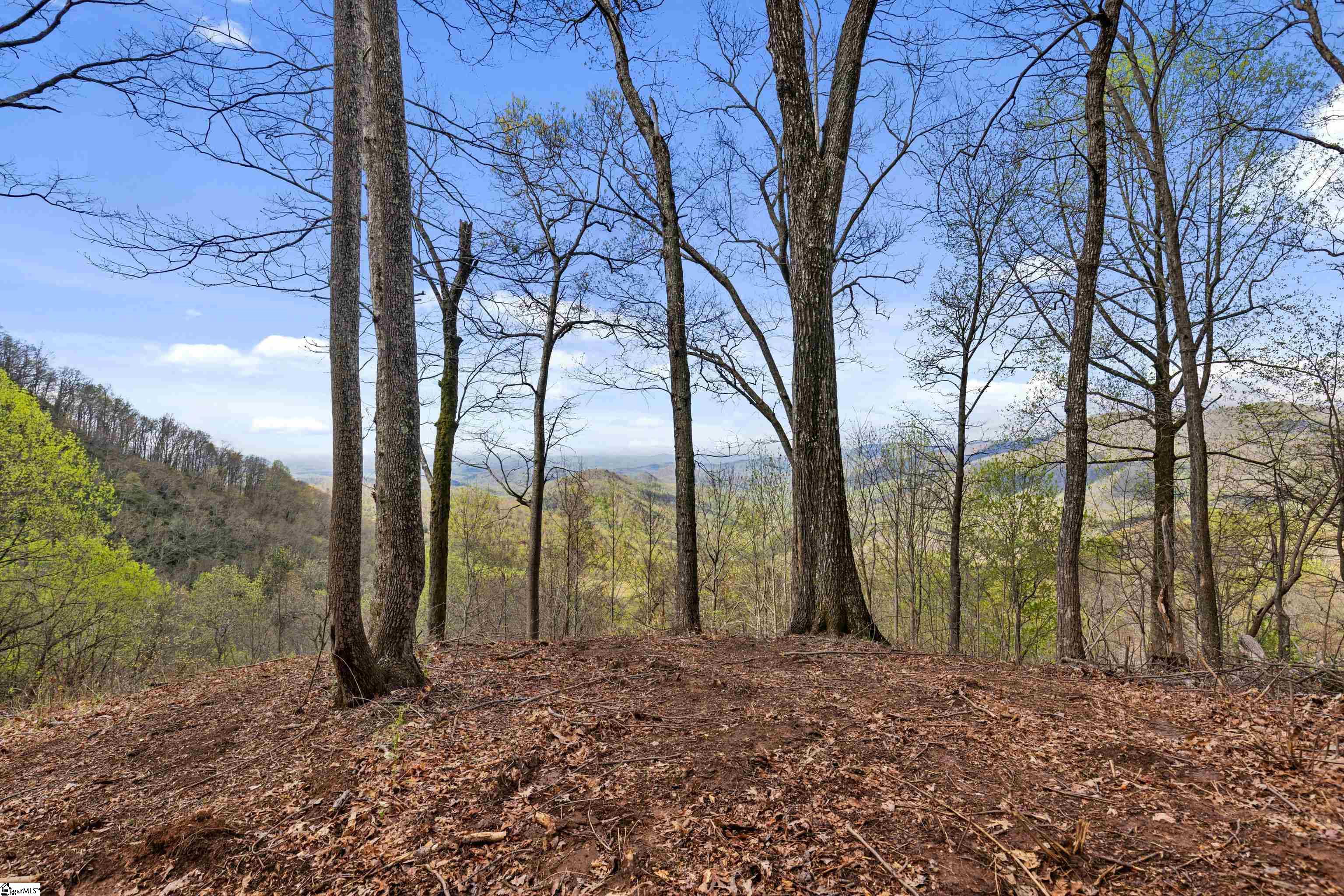 21 High Laurel, Travelers Rest, South Carolina image 3