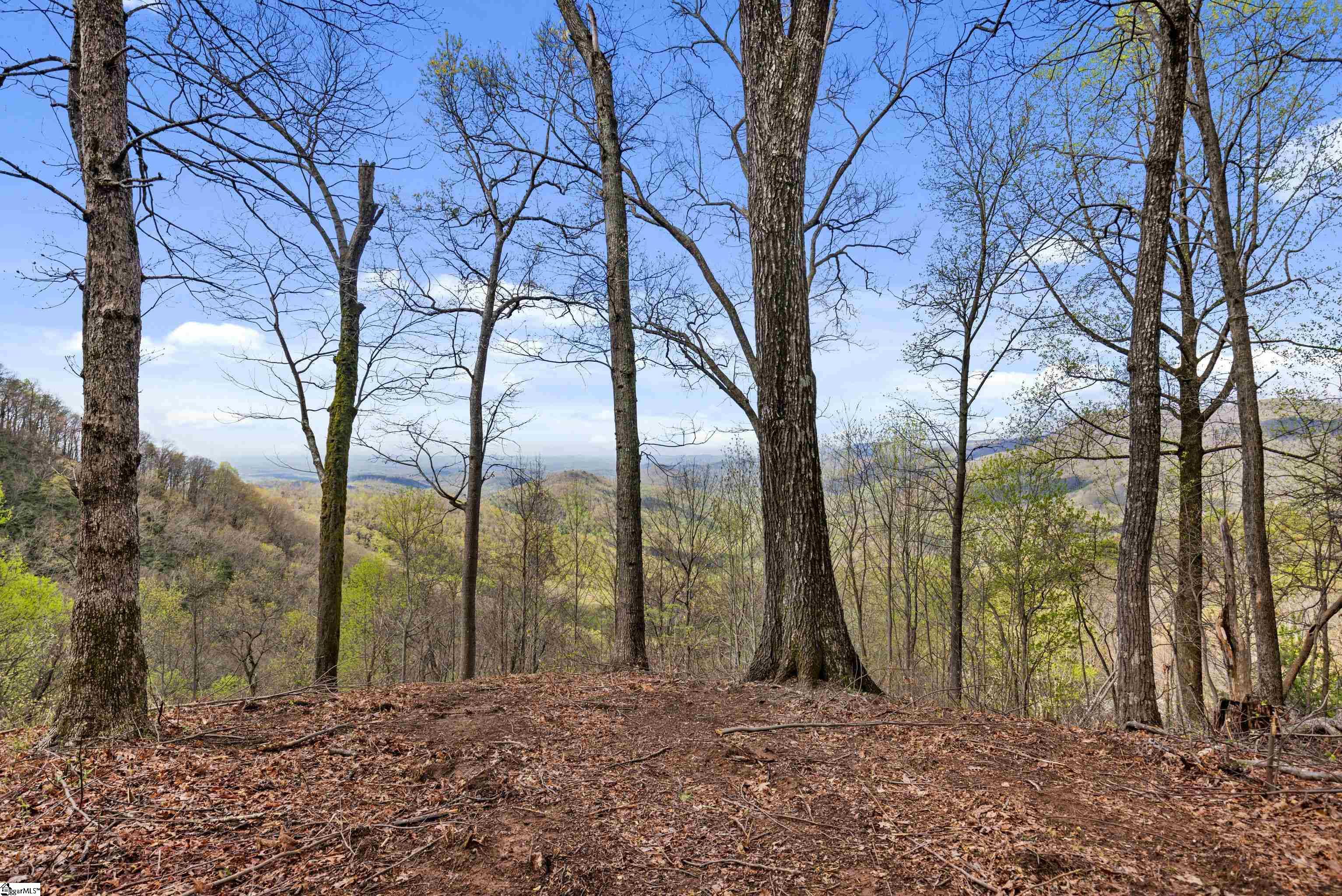 21 High Laurel, Travelers Rest, South Carolina image 4