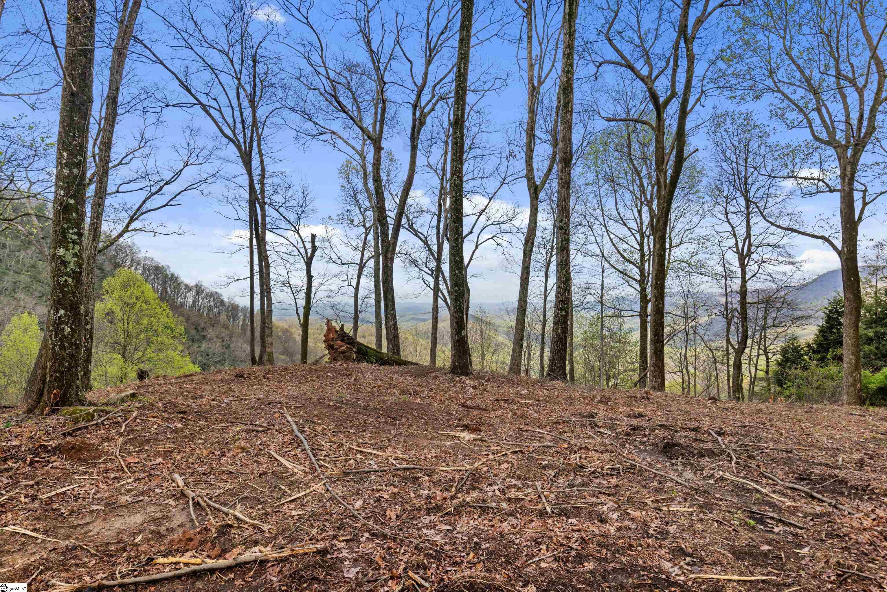 21 High Laurel, Travelers Rest, South Carolina image 5