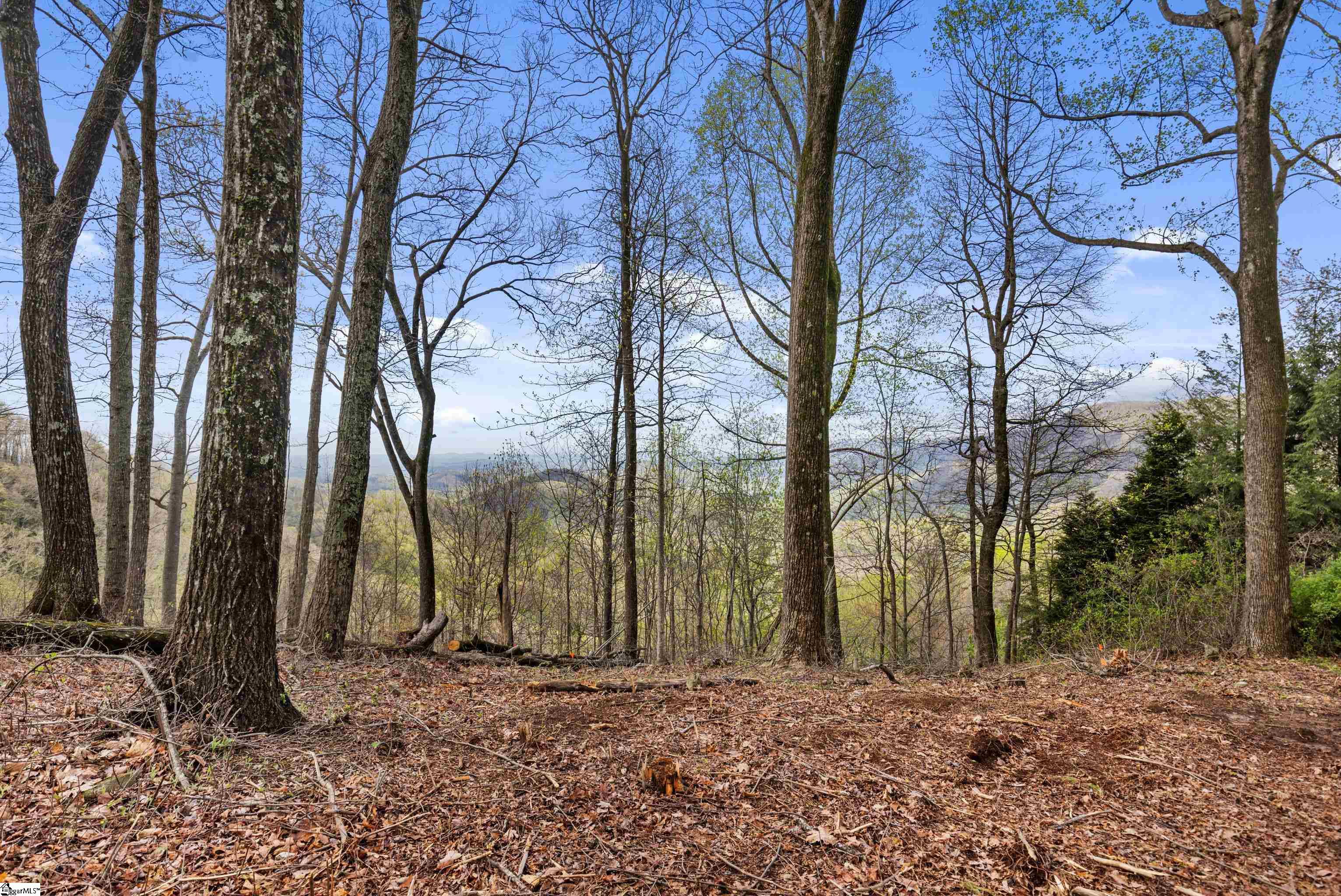21 High Laurel, Travelers Rest, South Carolina image 6