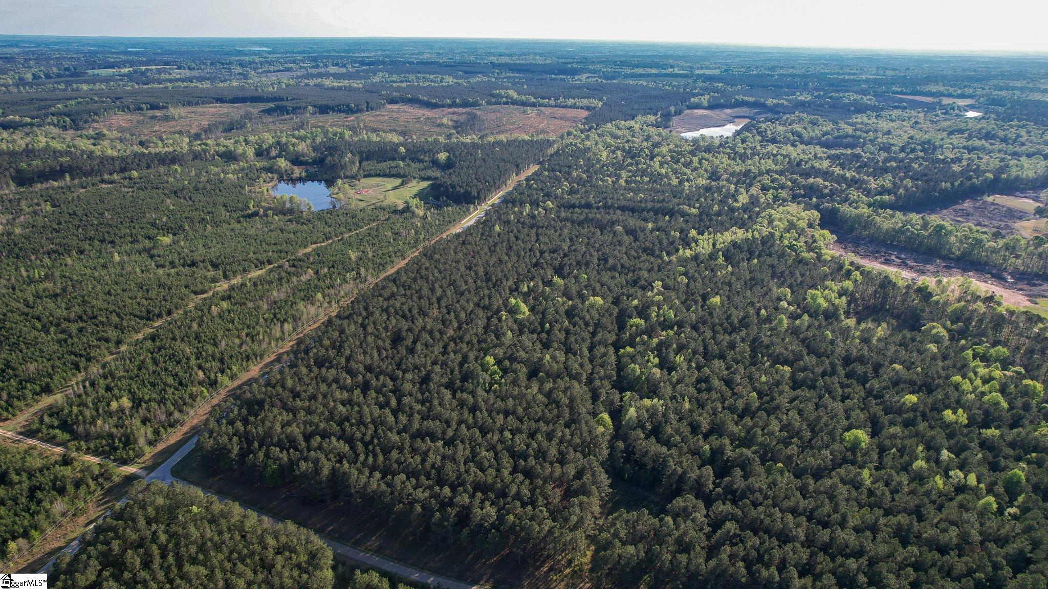06 Garlington, Mountville, South Carolina image 3