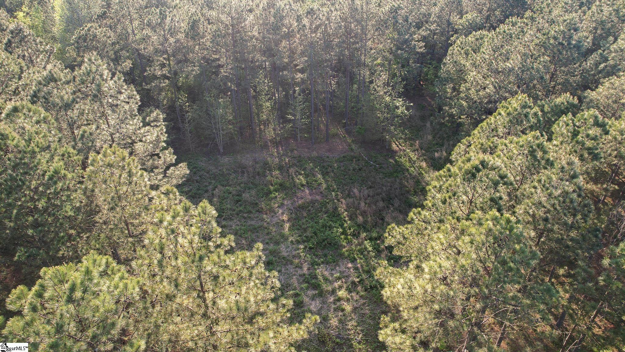 06 Garlington, Mountville, South Carolina image 21