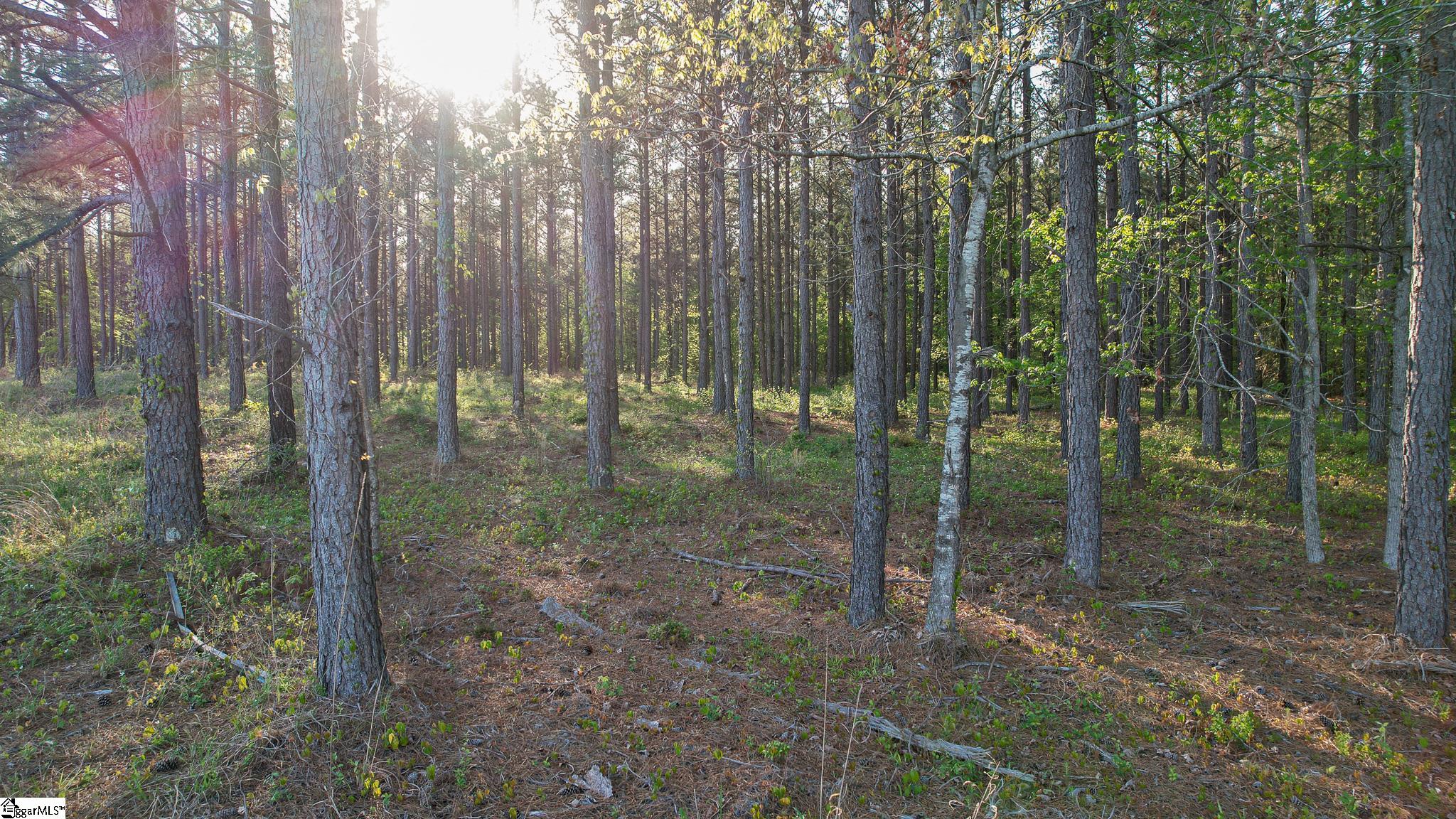 08 Garlington, Mountville, South Carolina image 5