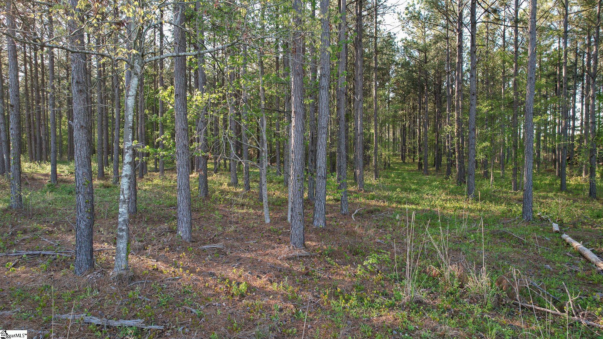 0010 Garlington, Mountville, South Carolina image 16
