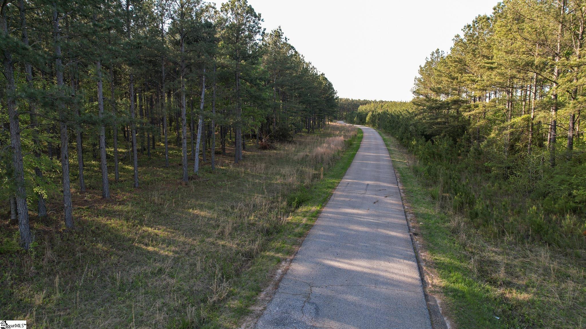 0010 Garlington, Mountville, South Carolina image 4