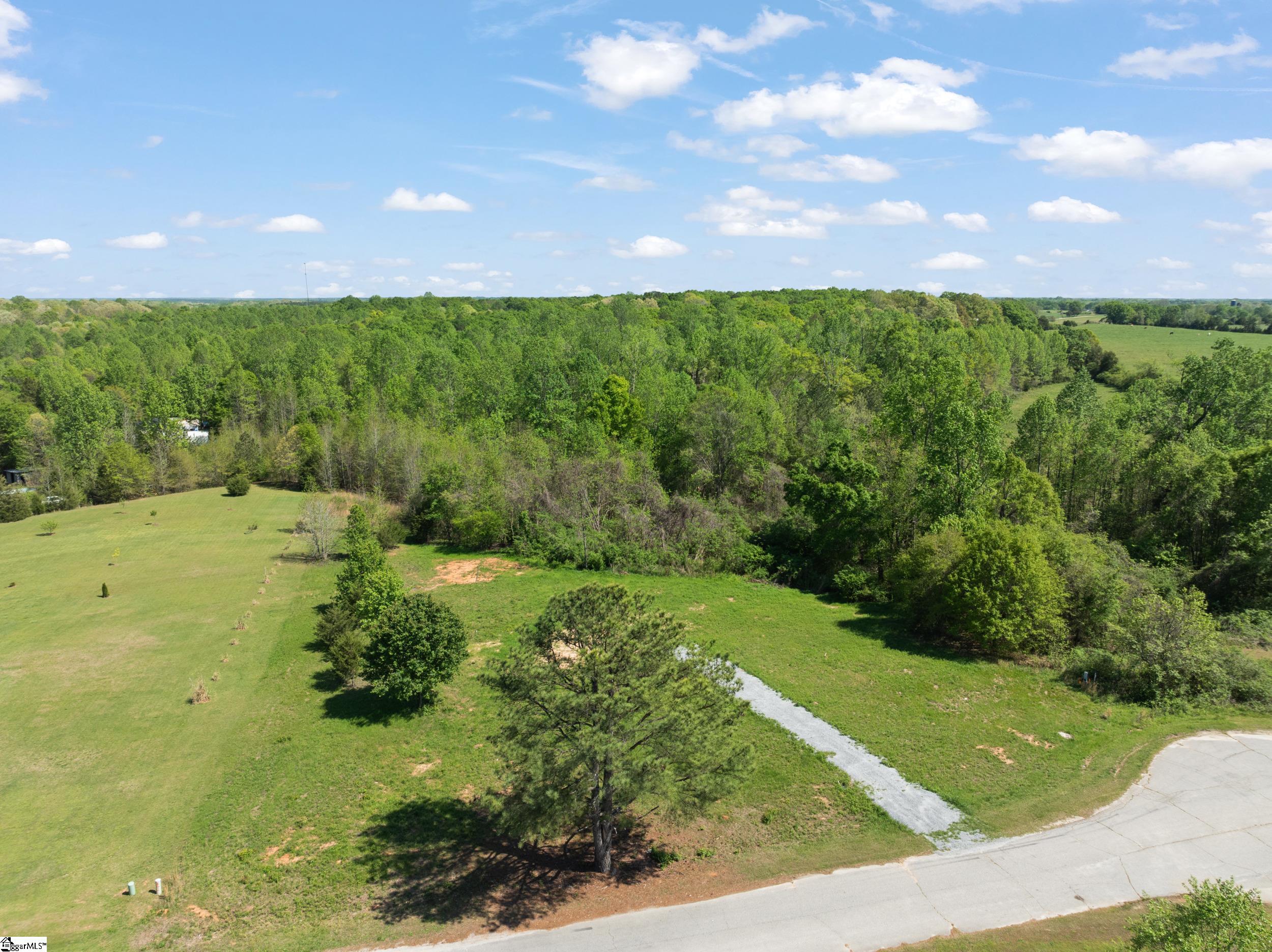 95 Topaz, Gray Court, South Carolina image 12