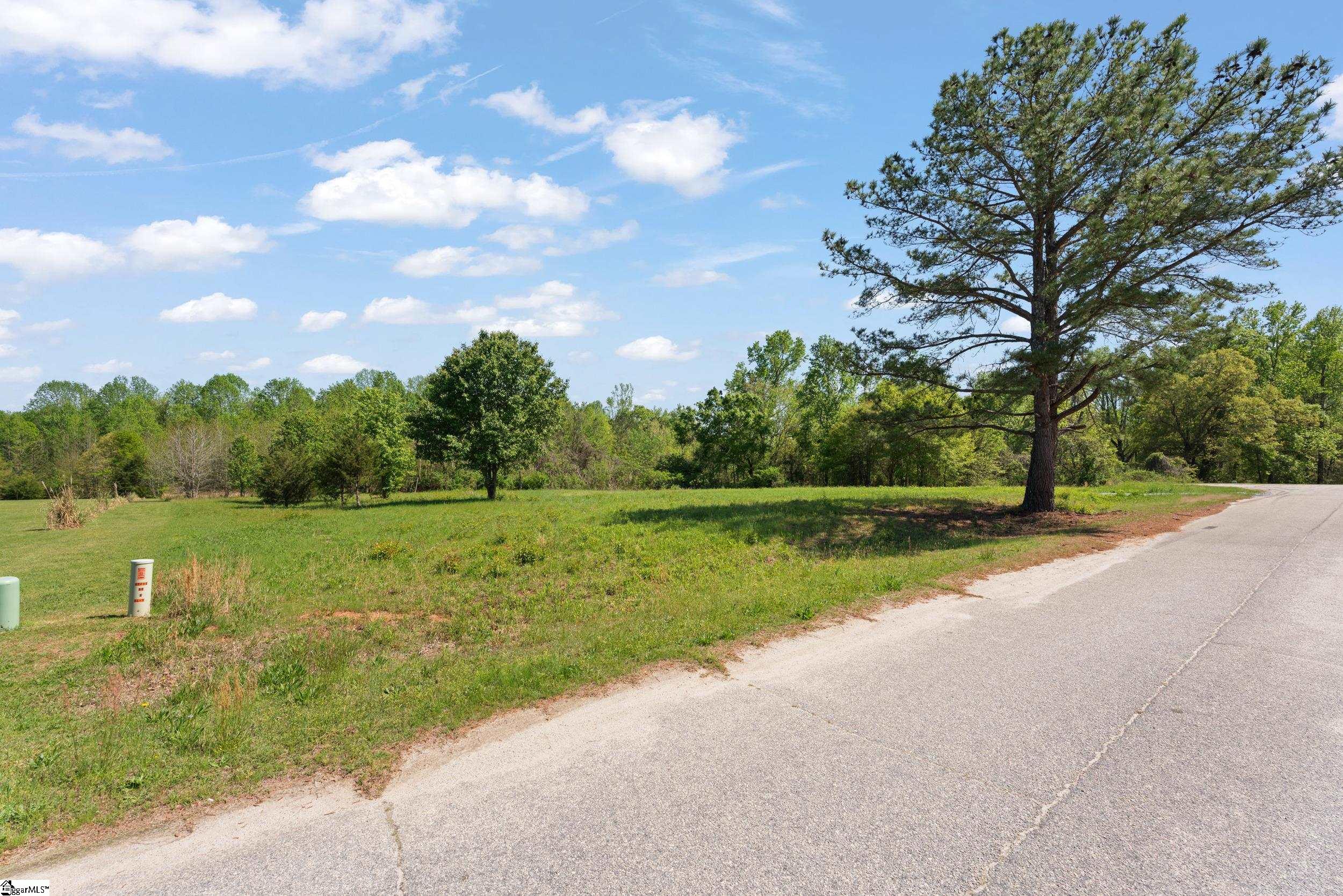 95 Topaz, Gray Court, South Carolina image 13