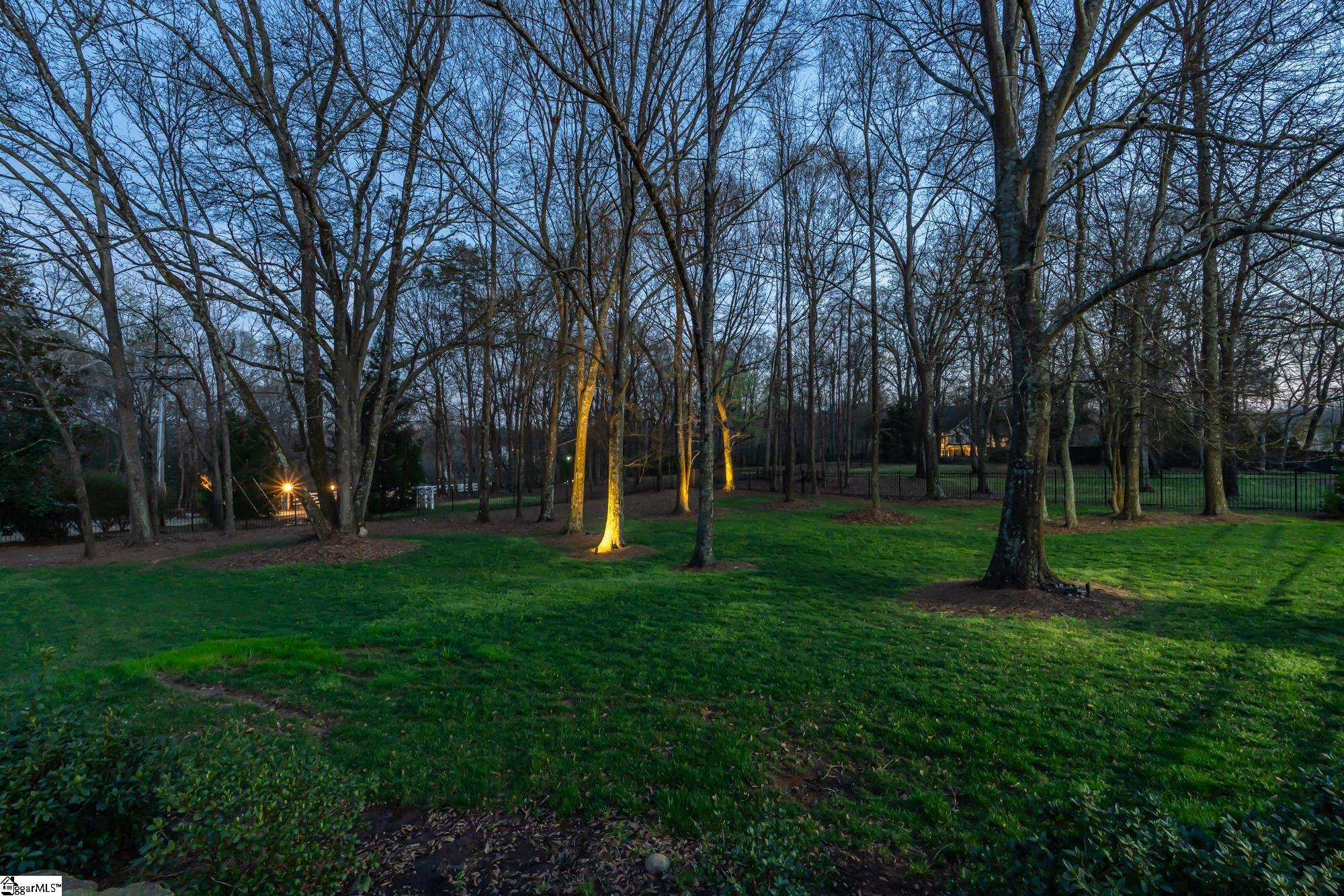 108 Bamber Green, Greenville, South Carolina image 50