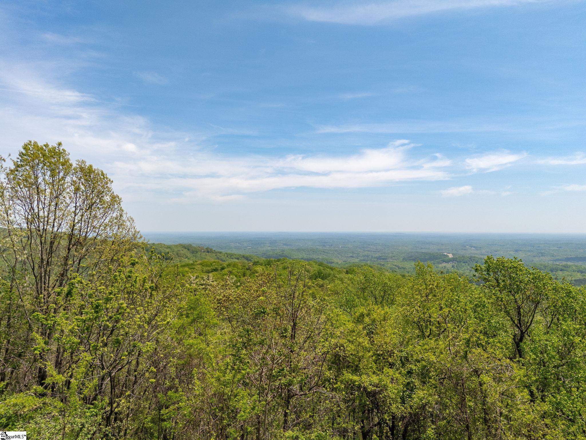 809 Plumley Summit, Landrum, South Carolina image 2