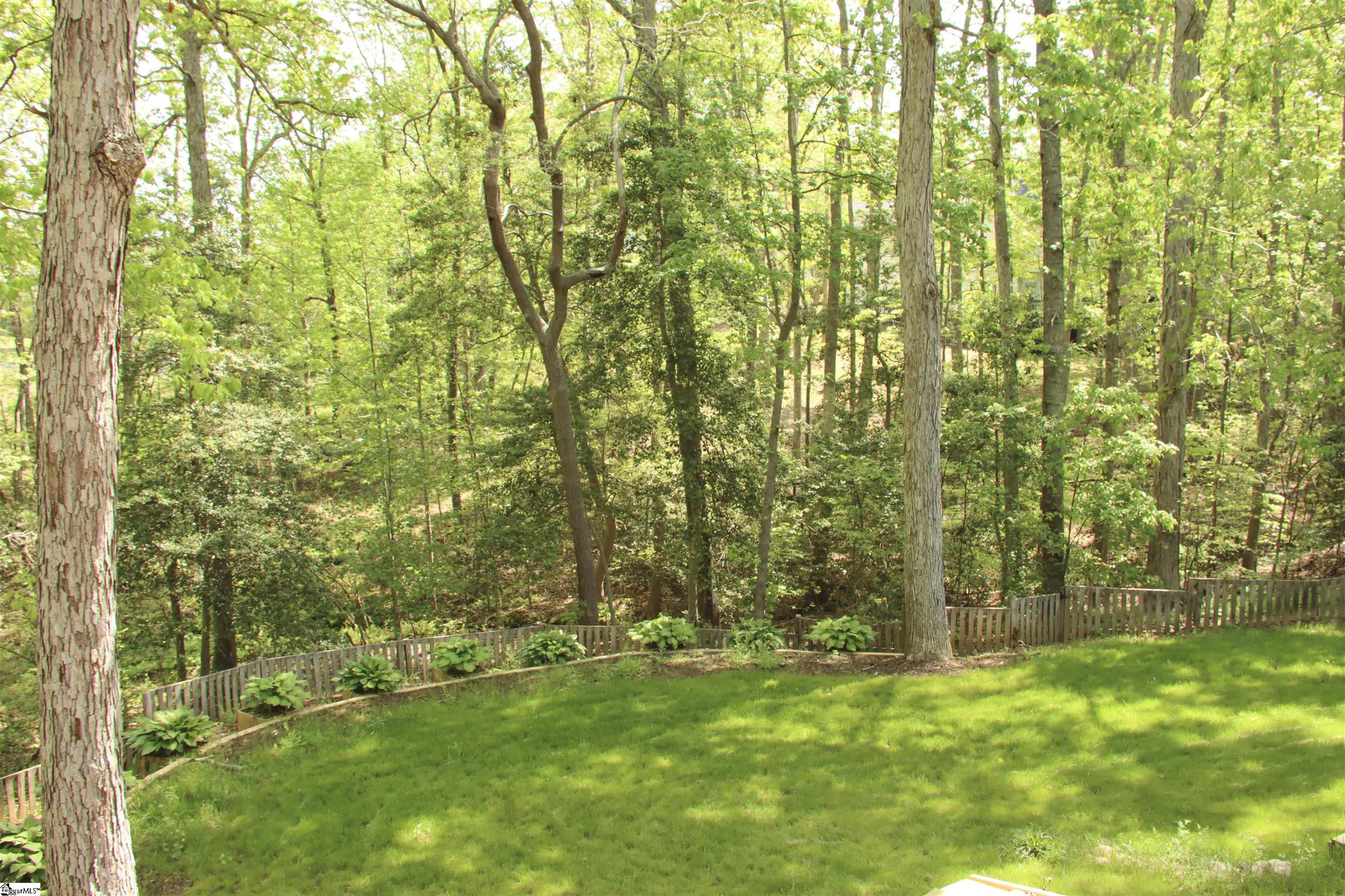 4 Crested Owl, Simpsonville, South Carolina image 32