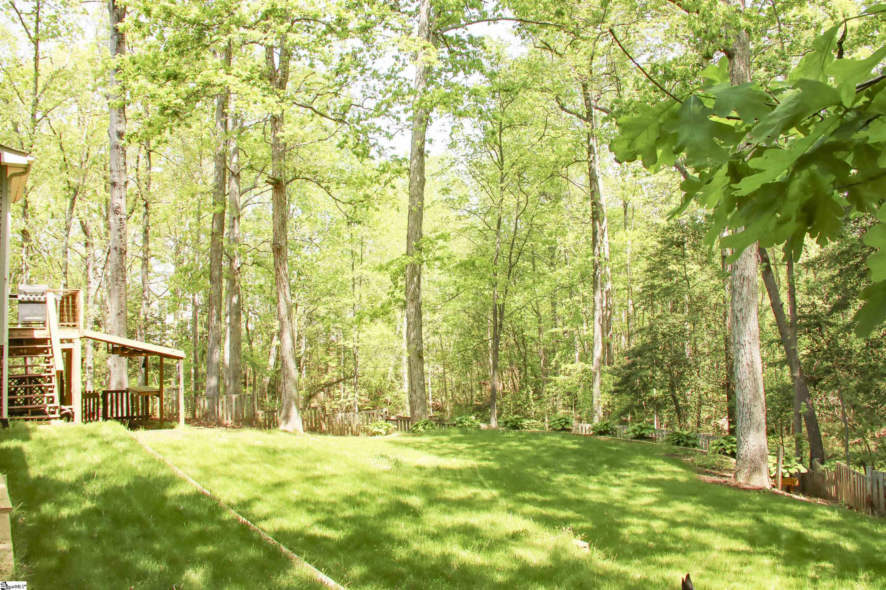 4 Crested Owl, Simpsonville, South Carolina image 34