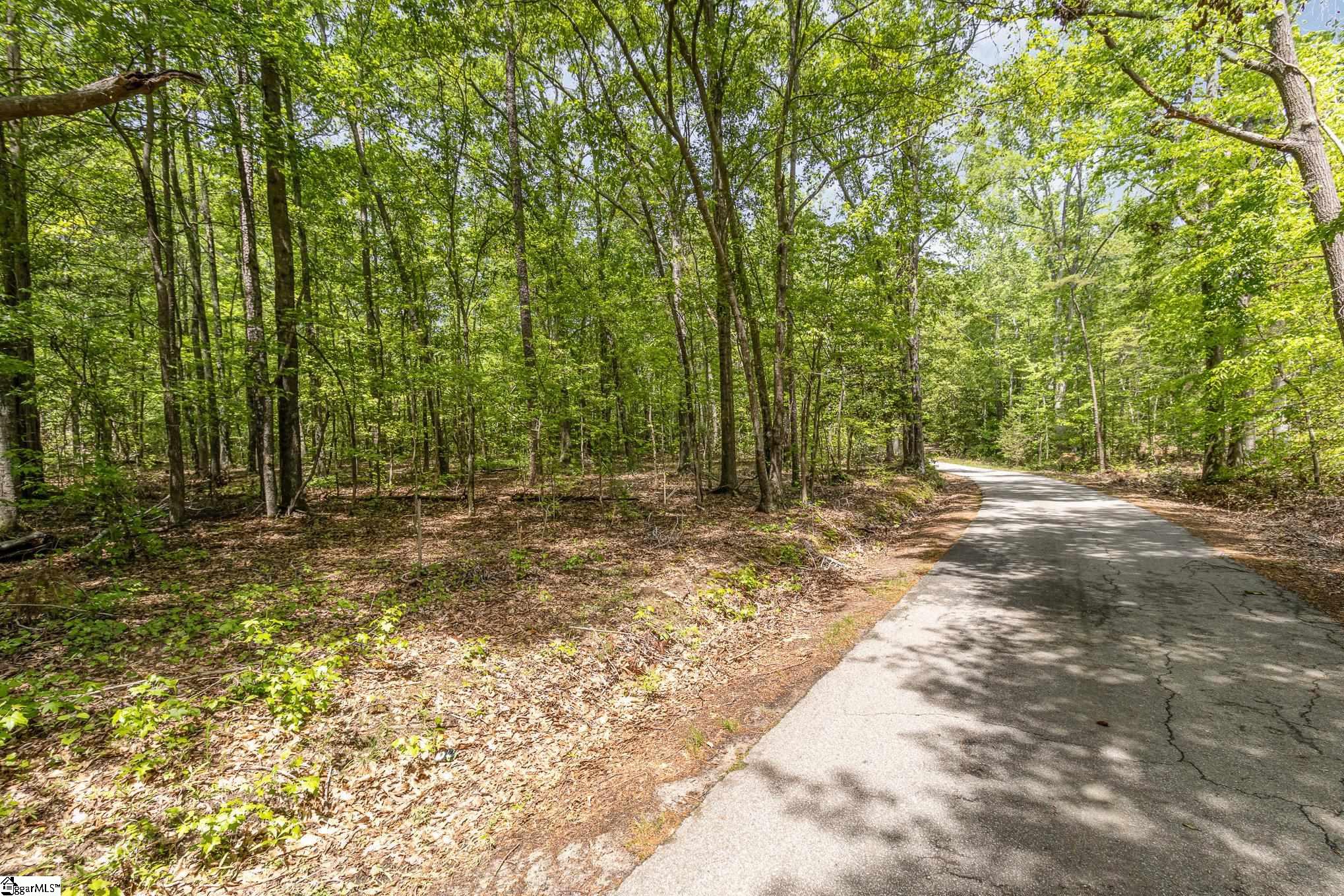 231 Tate Chapman, Simpsonville, South Carolina image 12