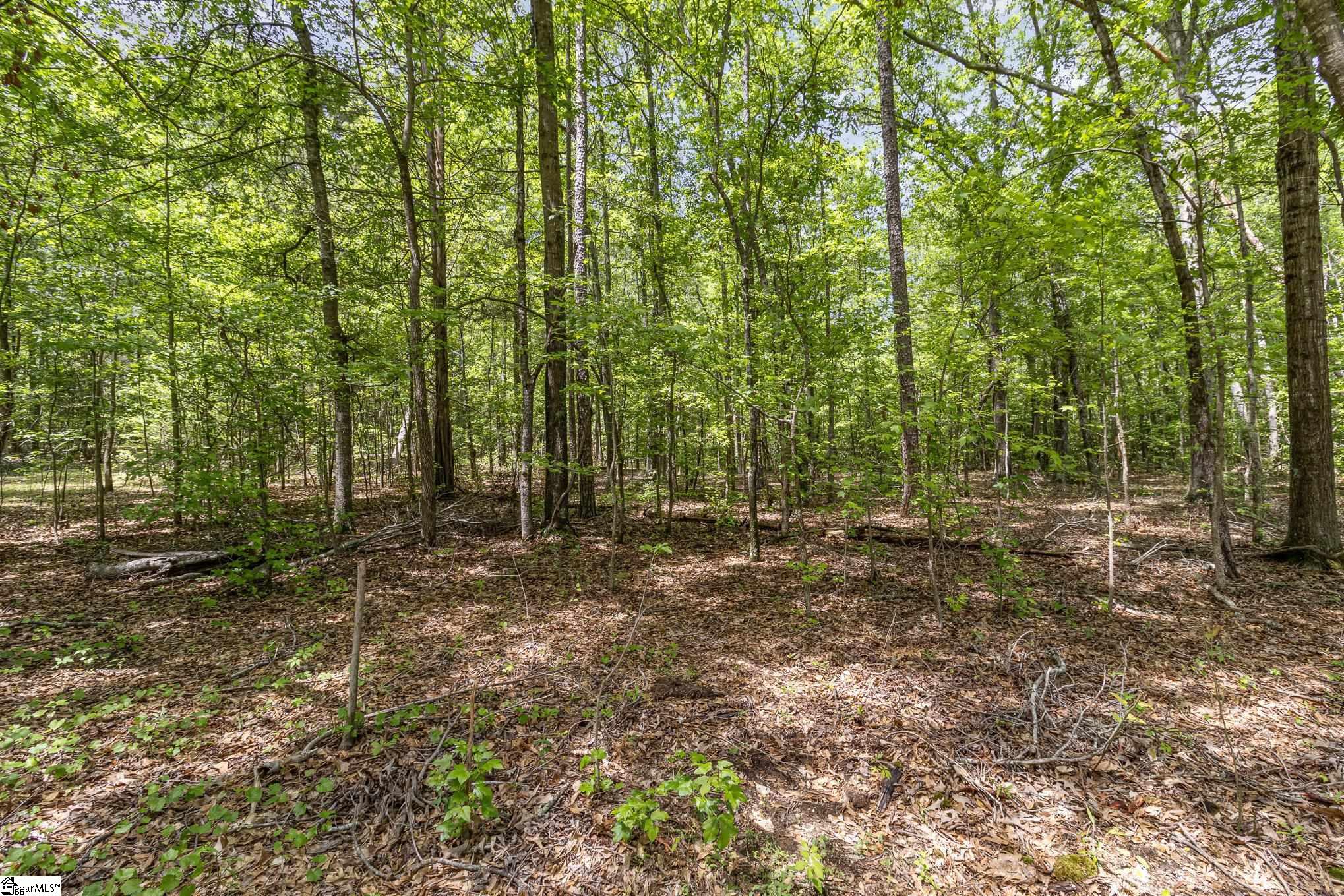 231 Tate Chapman, Simpsonville, South Carolina image 13