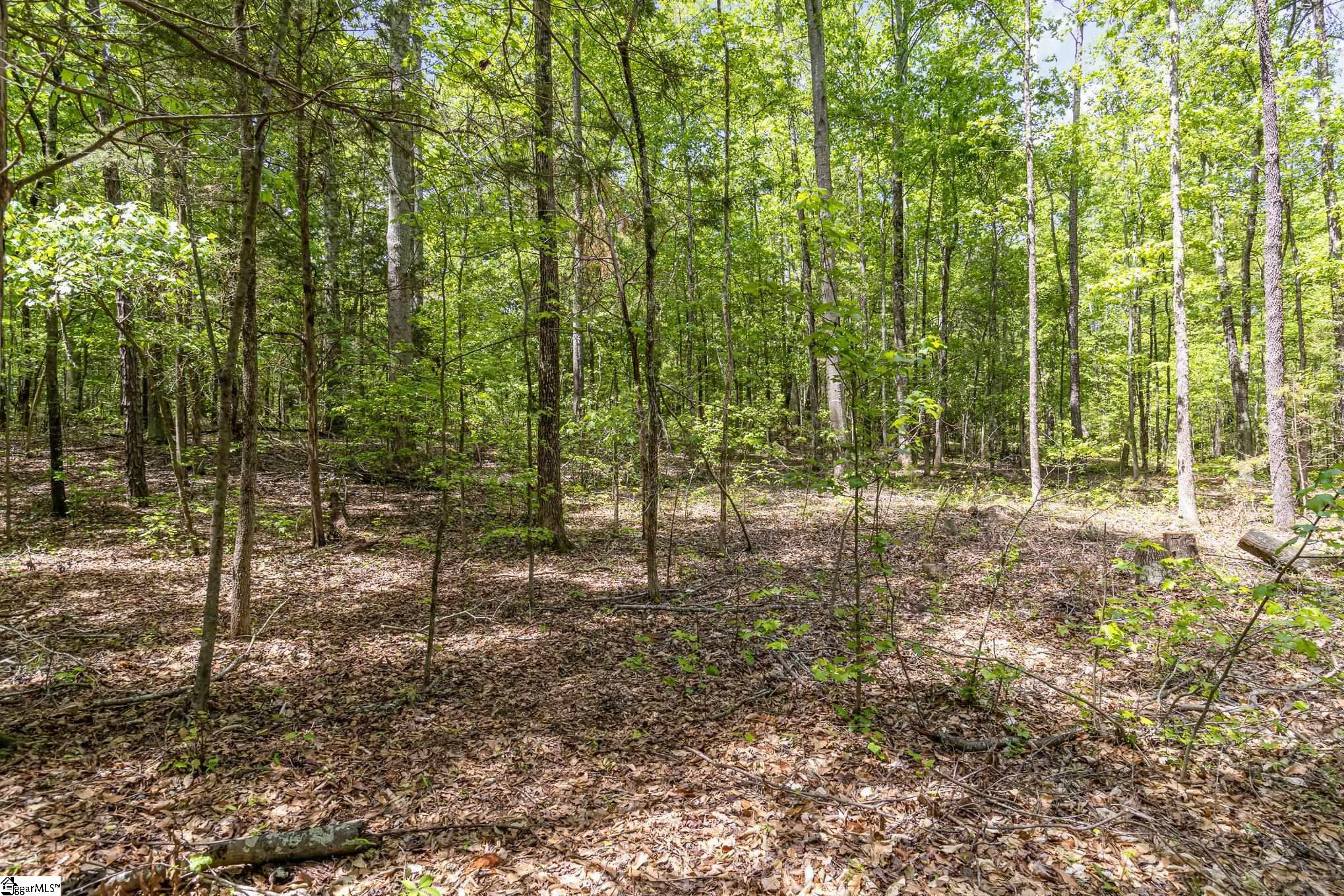 231 Tate Chapman, Simpsonville, South Carolina image 5
